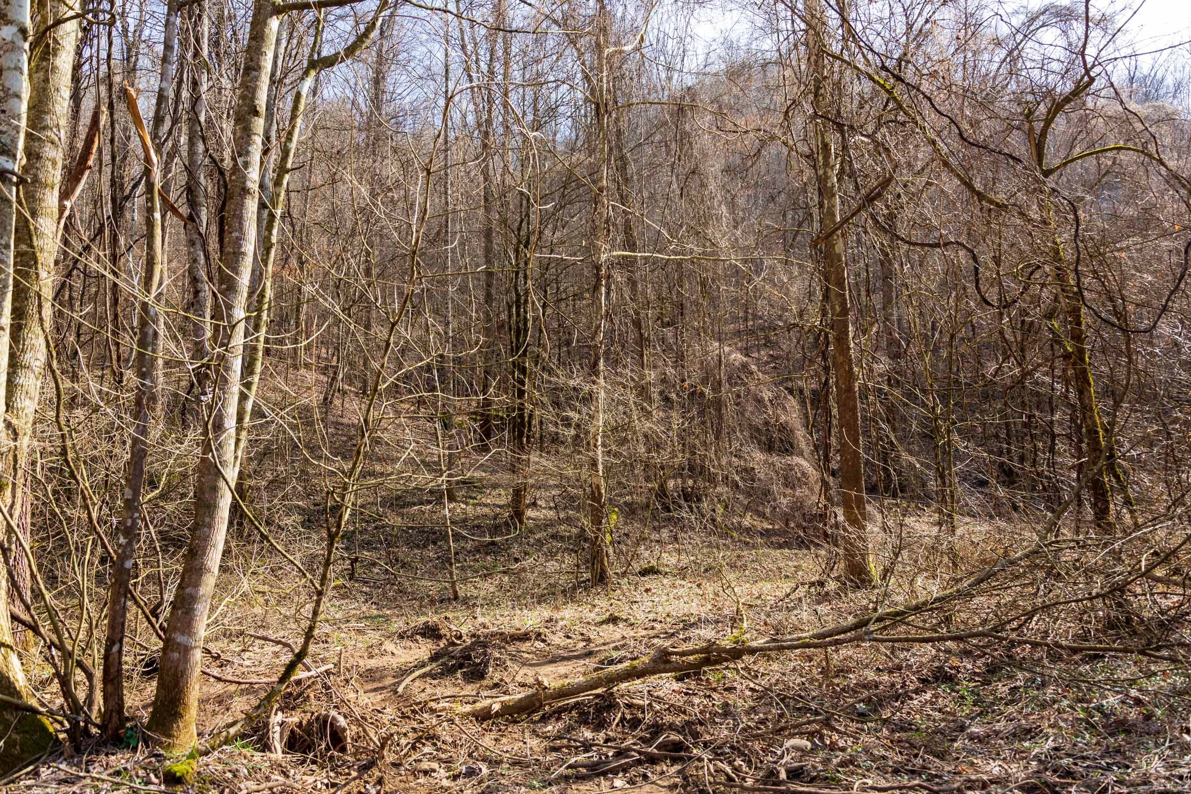 Blackstone Mountain Phase II Tract 64 photo 4