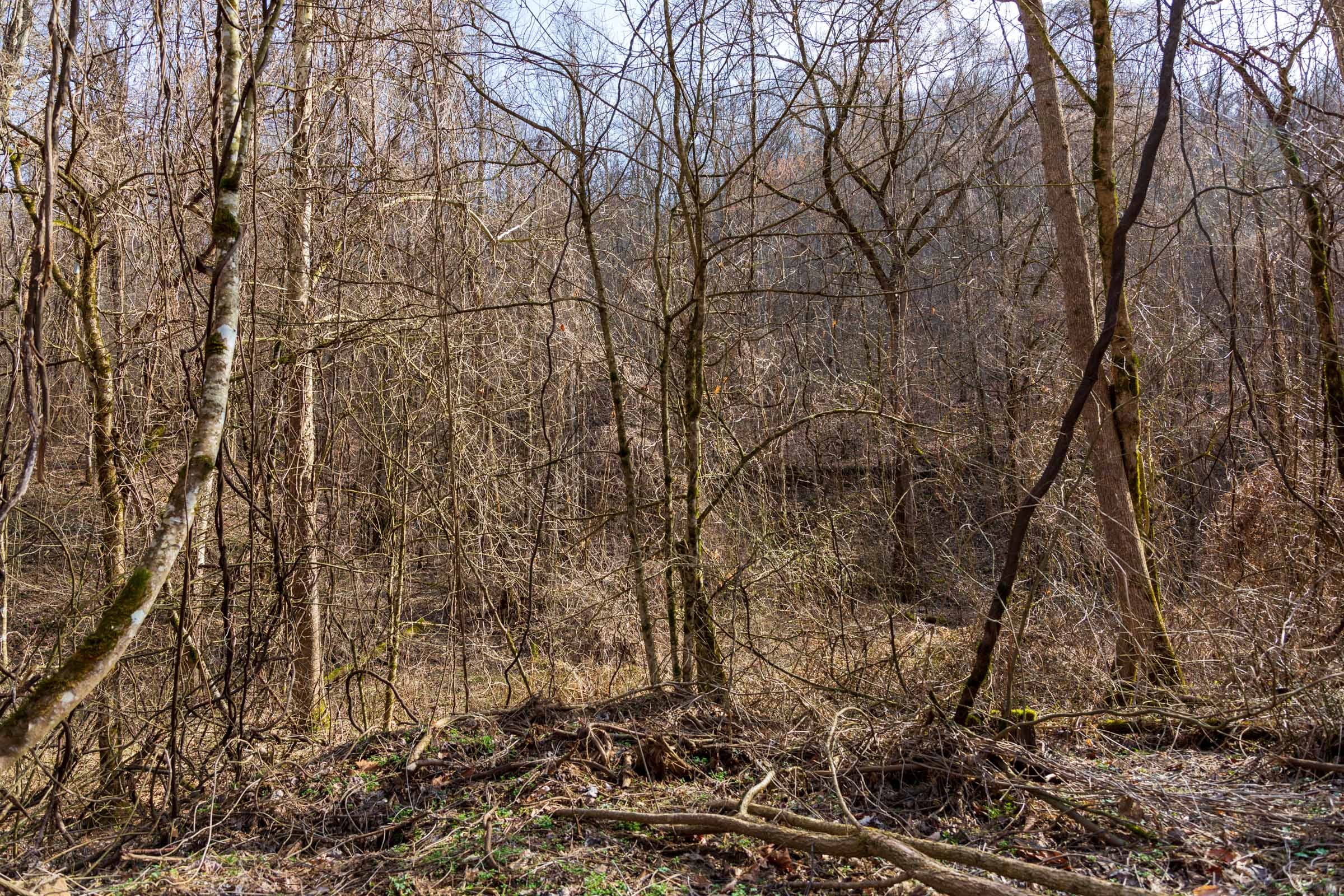 Blackstone Mountain Phase II Tract 64 photo 6