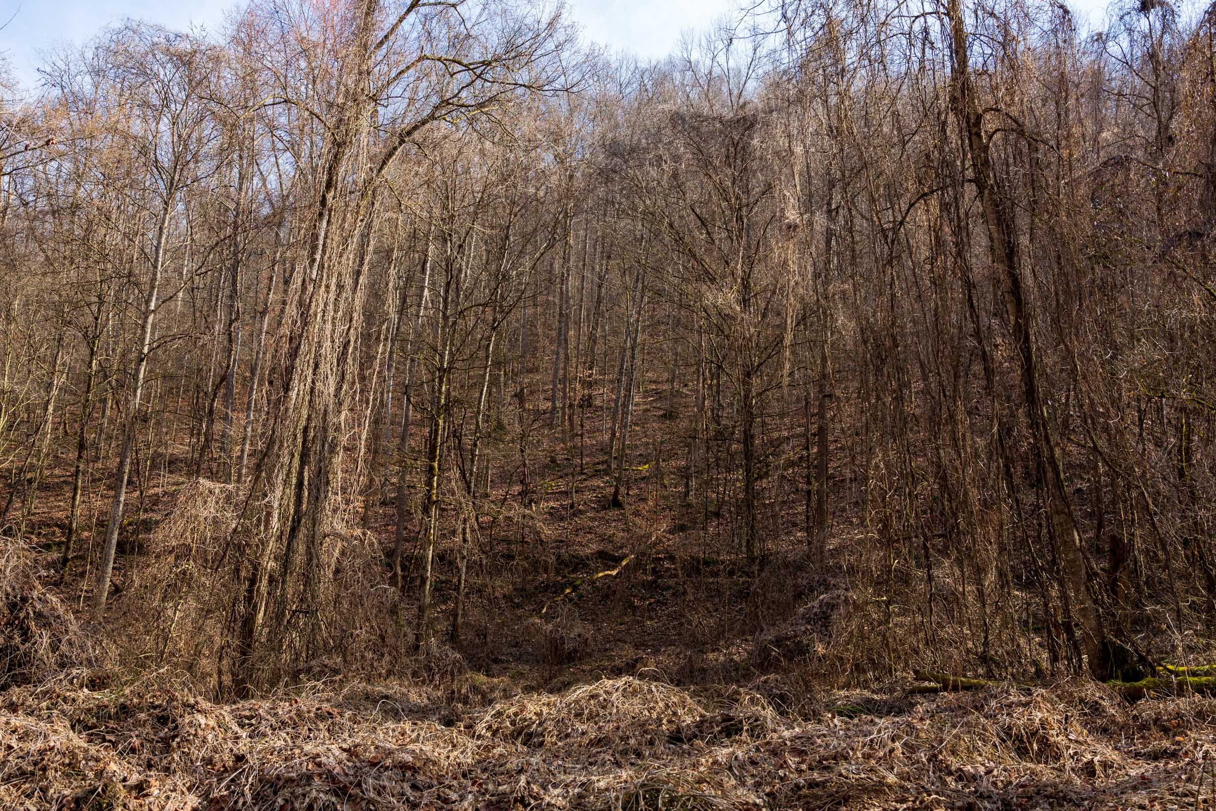 Blackstone Mountain Phase II Tract 64 photo 10