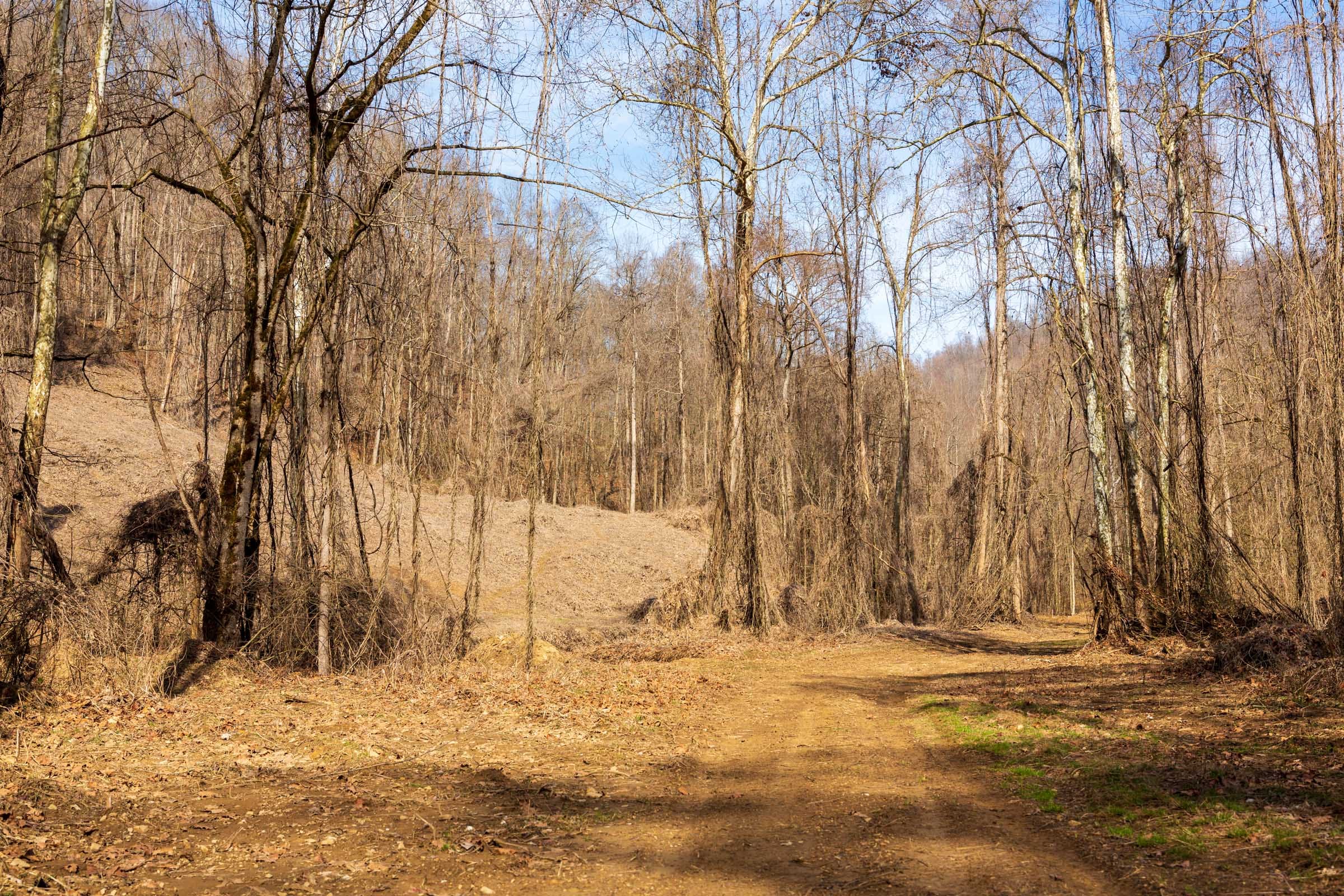 Blackstone Mountain Phase II Tract 64 photo 2