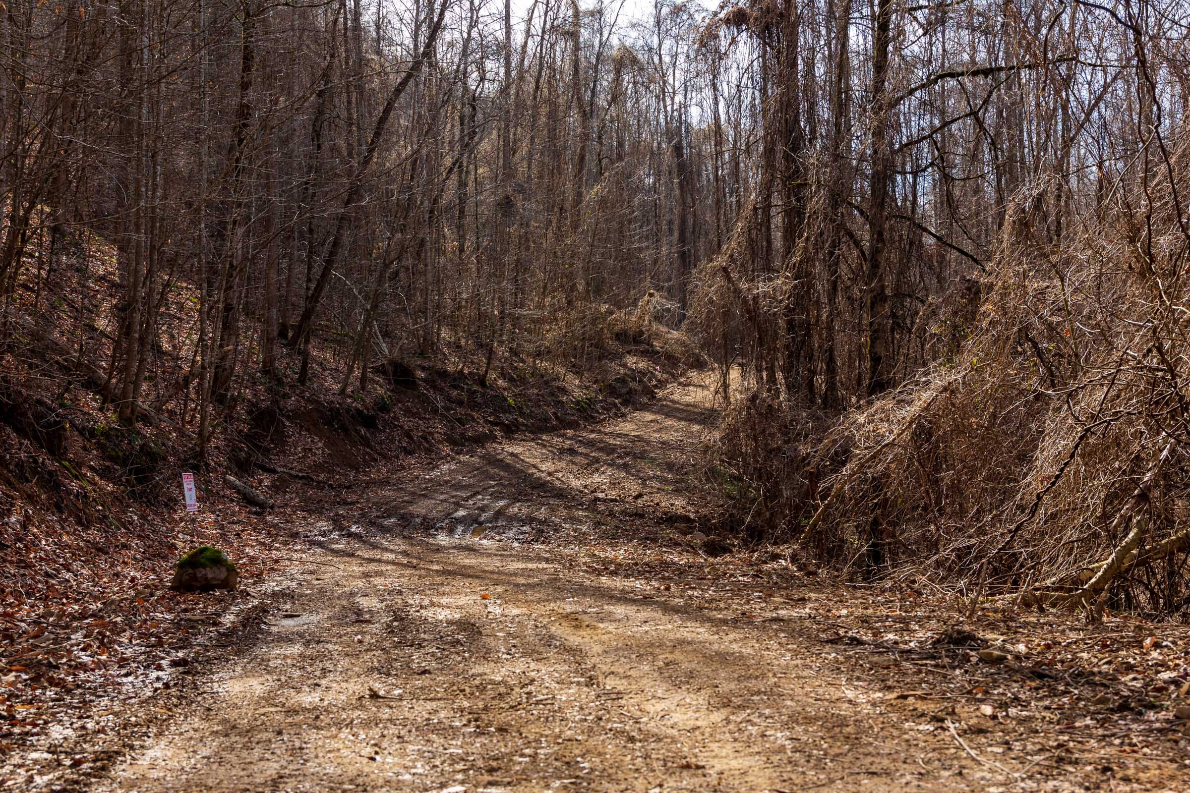 Blackstone Mountain Phase II Tract 64 photo 5