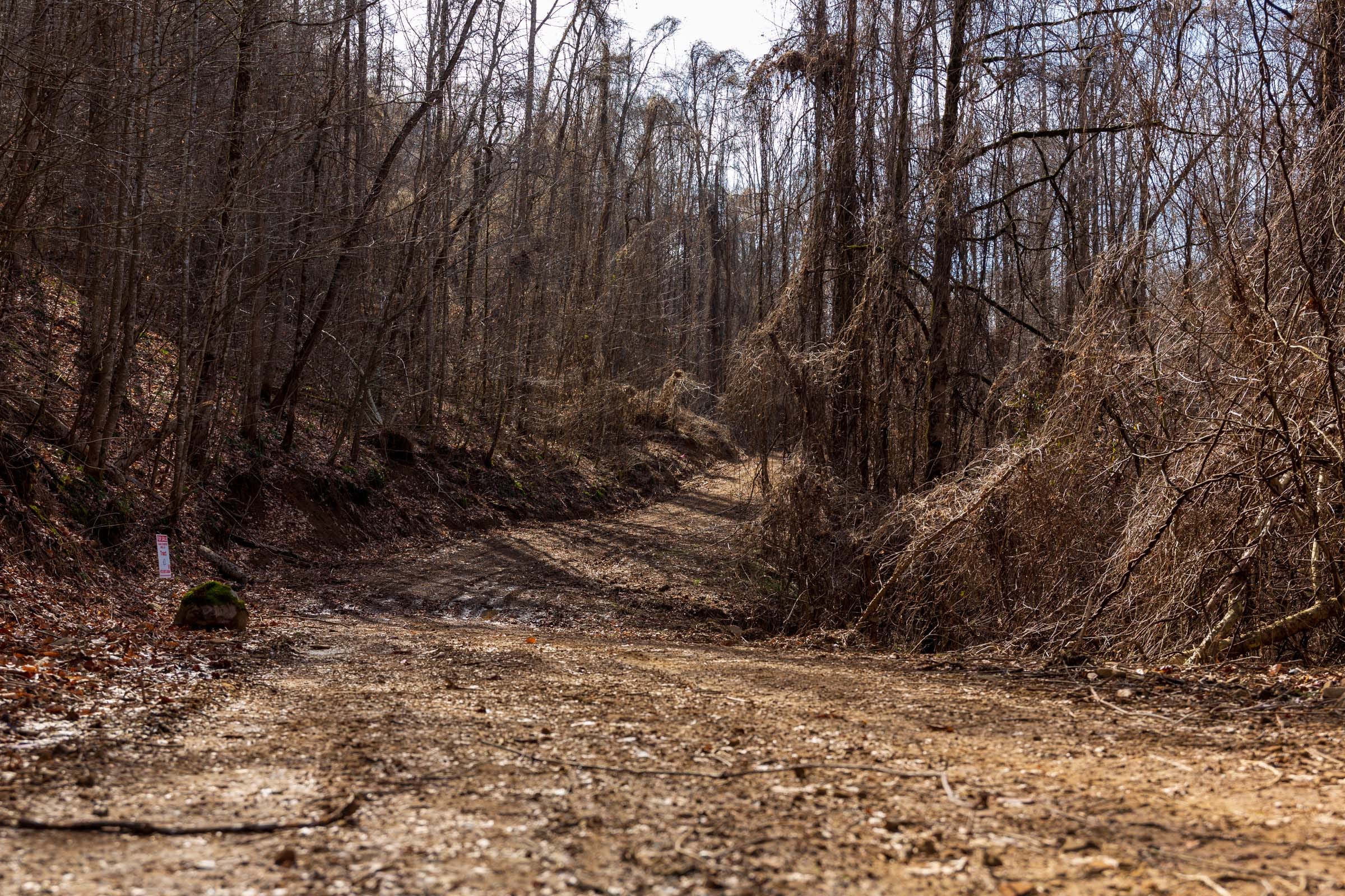 Blackstone Mountain Phase II Tract 64 photo 8