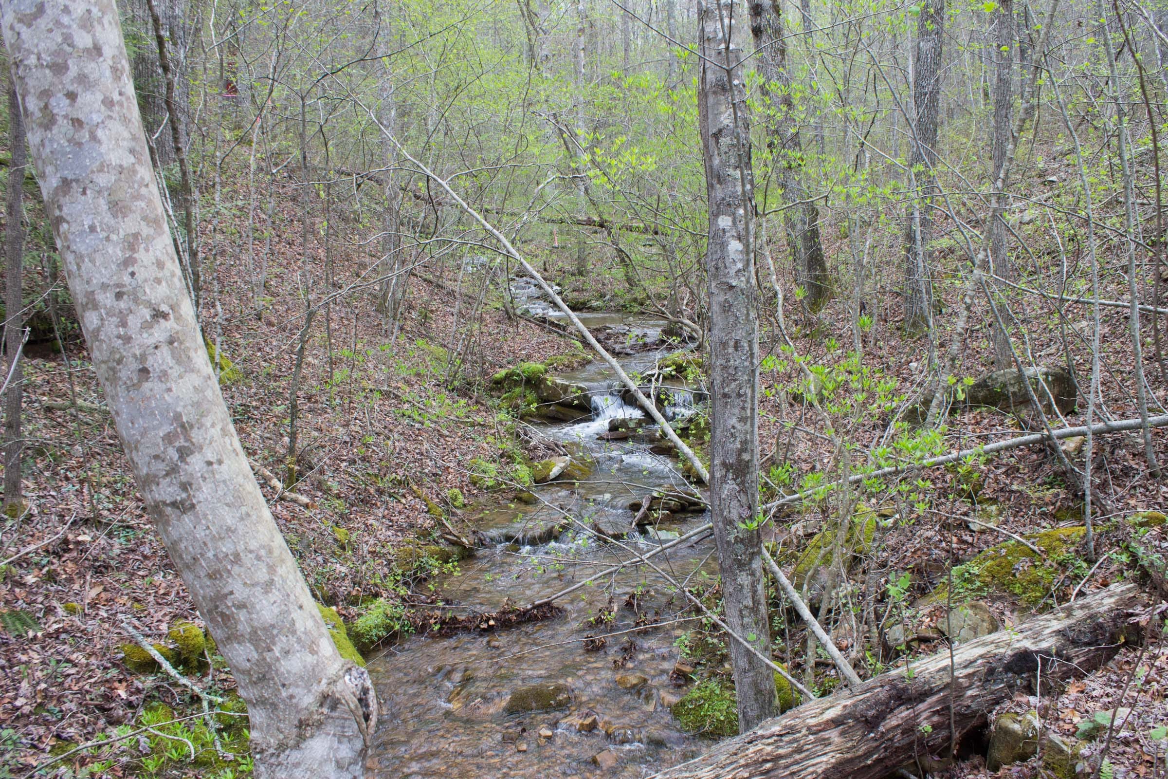 Hidden Hills Tract 46 photo 2