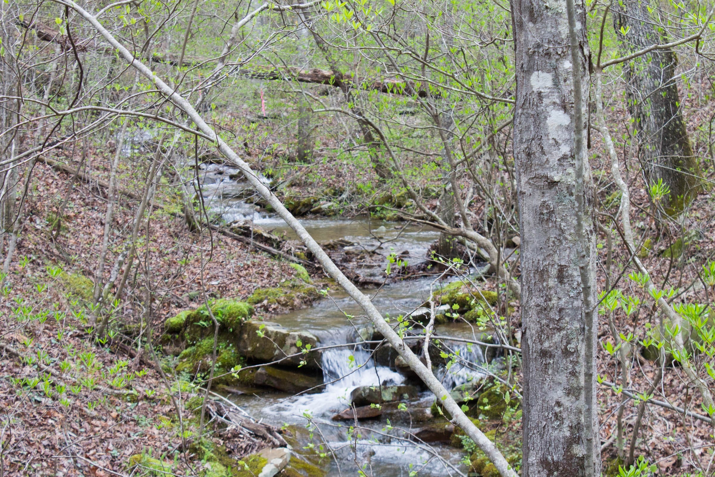 Hidden Hills Tract 46 photo 3