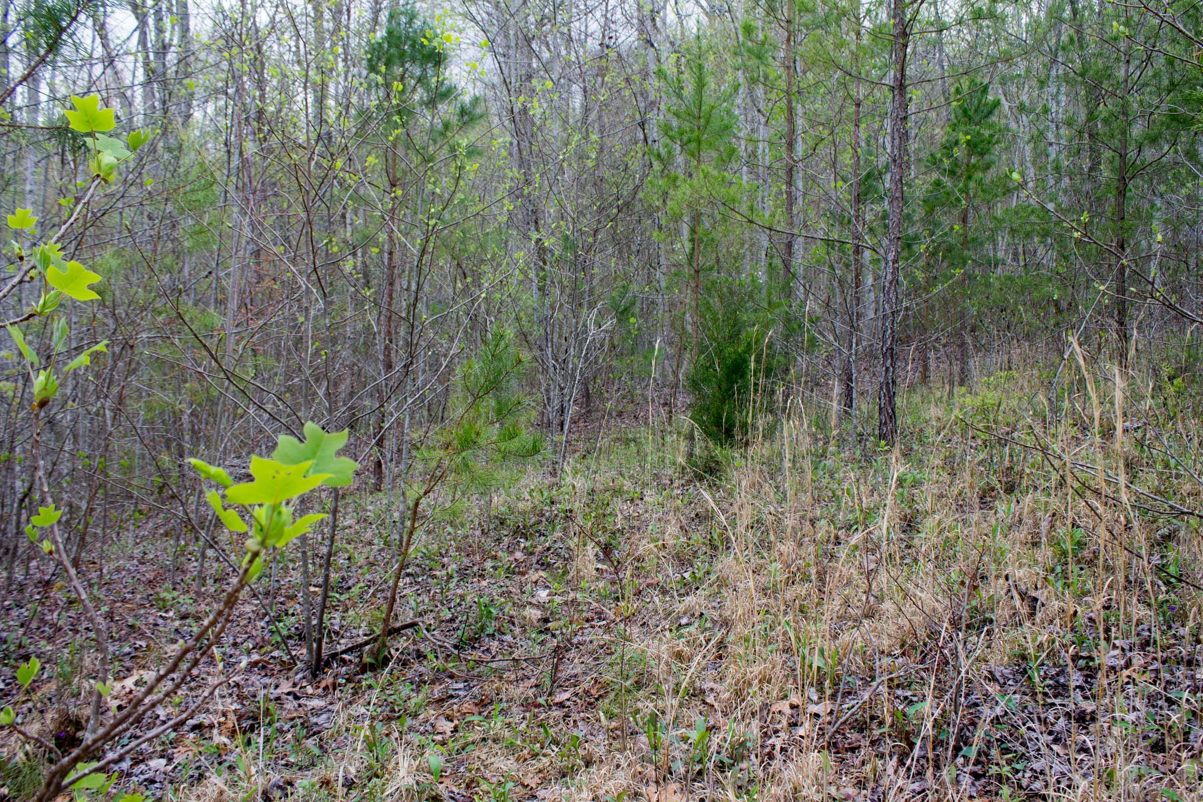 Hidden Hills Tract 46 photo 9