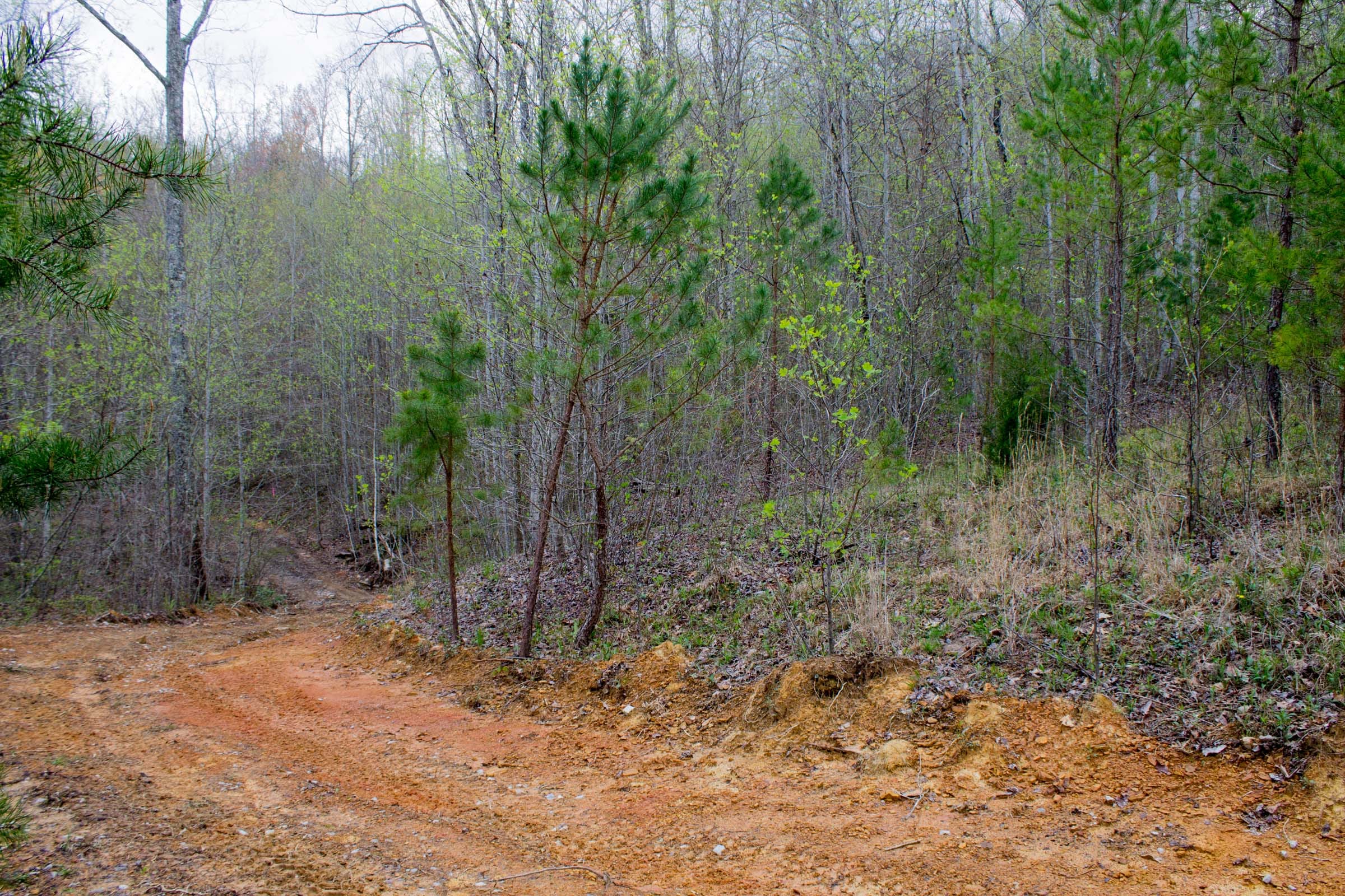 Hidden Hills Tract 46 photo 1