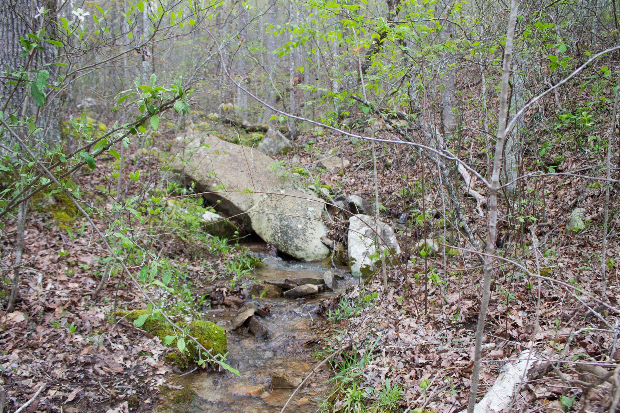 Hidden Hills Tract 46 photo 10