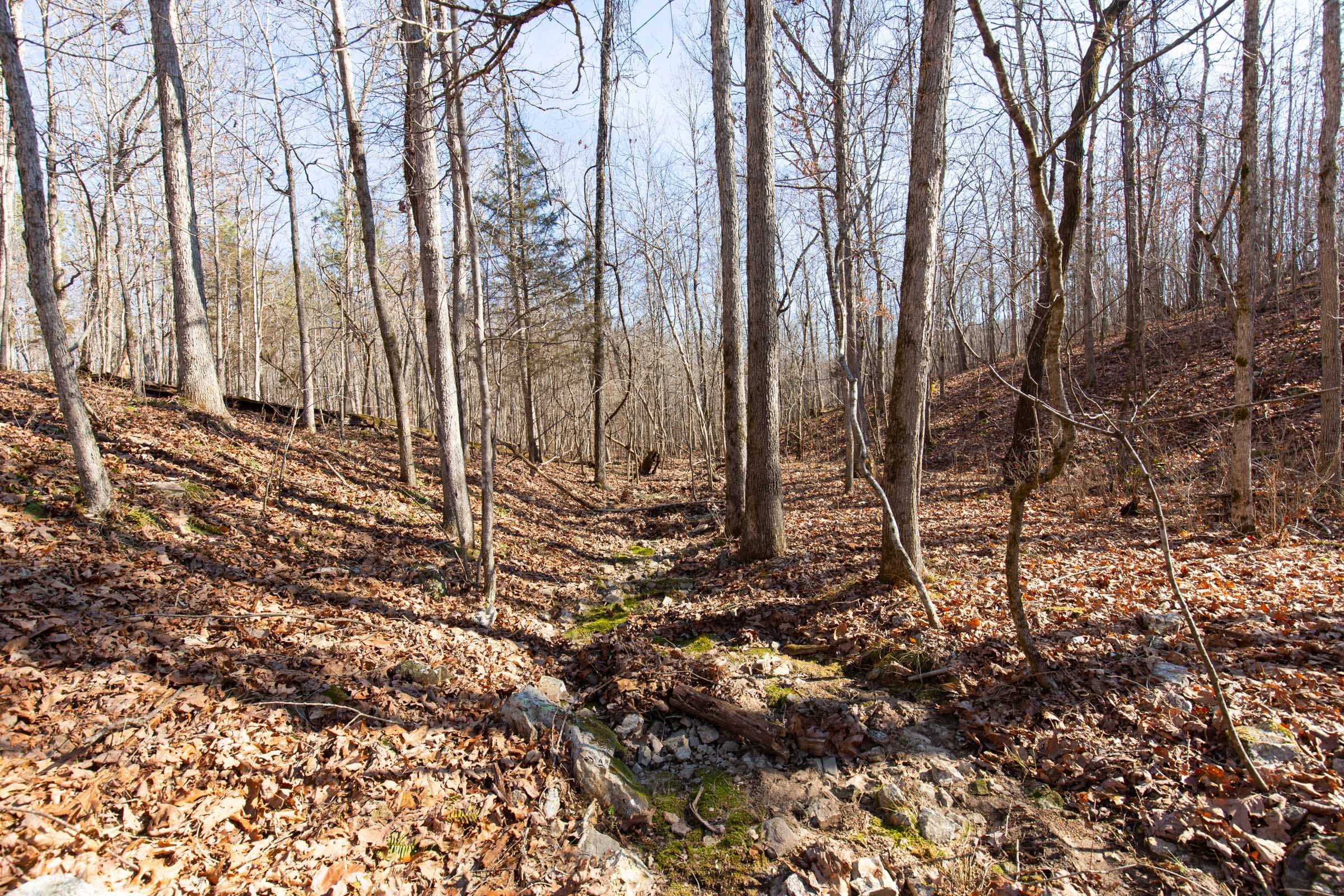 O’Connor Crossing Tract 28 photo 4