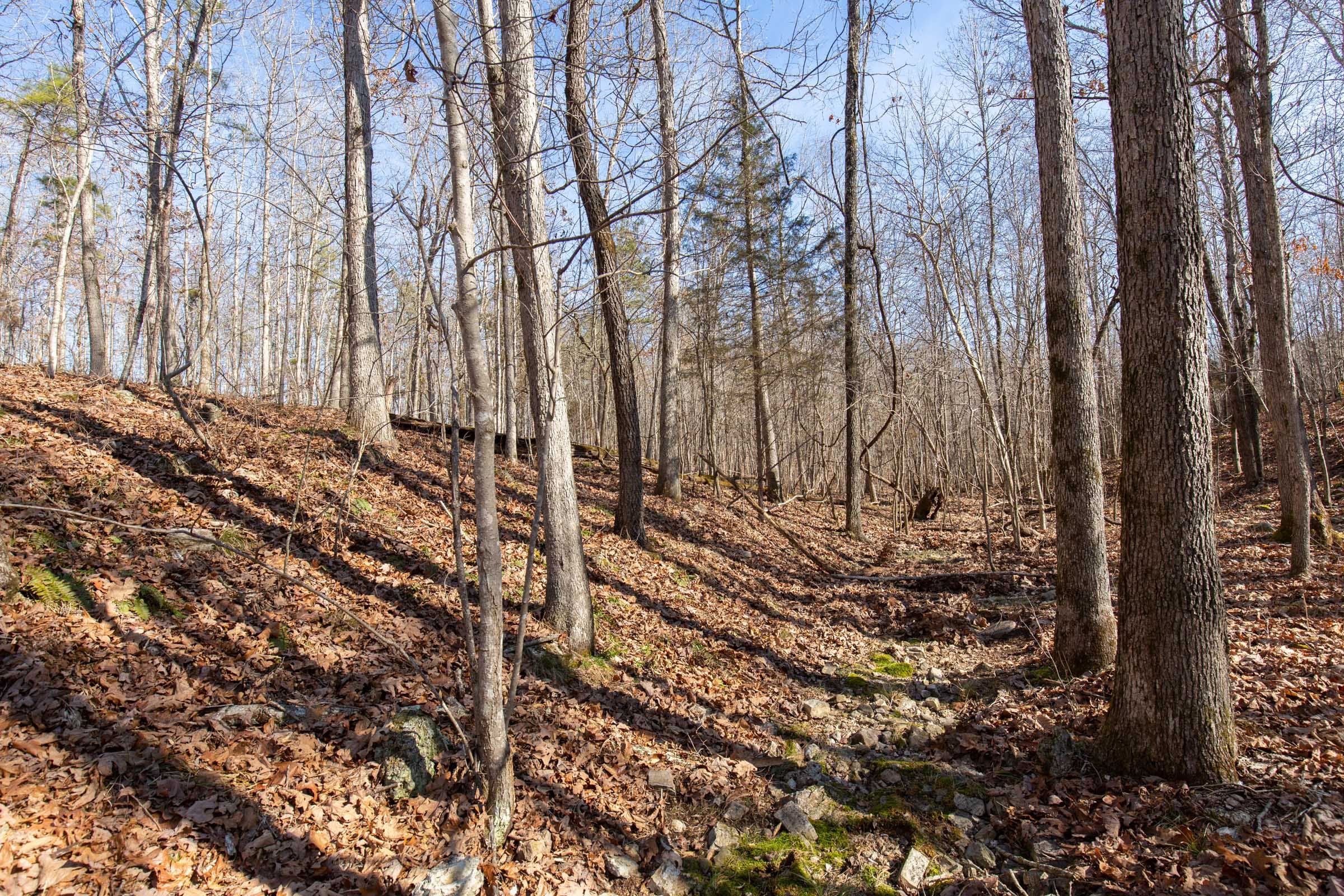 O’Connor Crossing Tract 28 photo 8