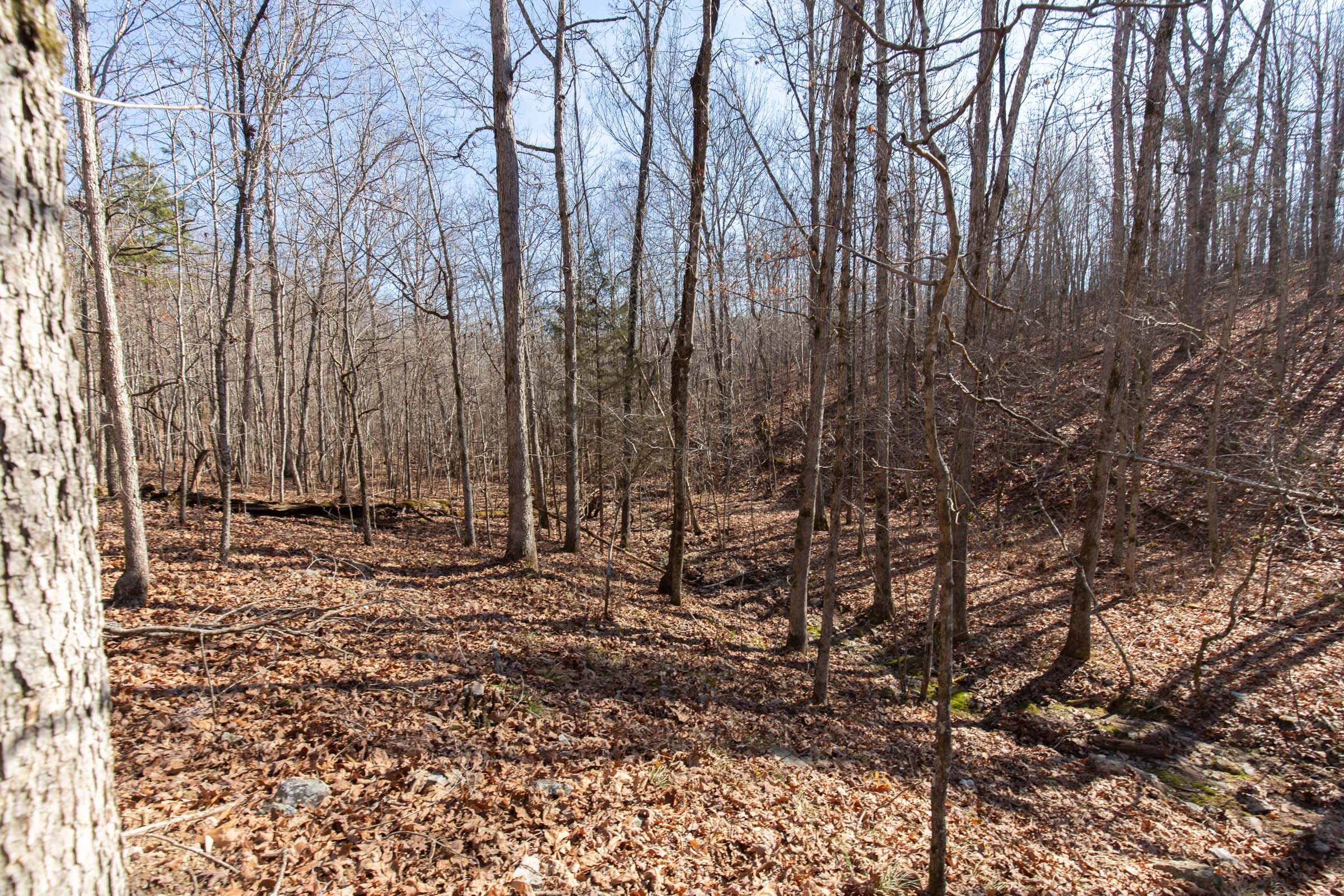 O’Connor Crossing Tract 28 photo 9