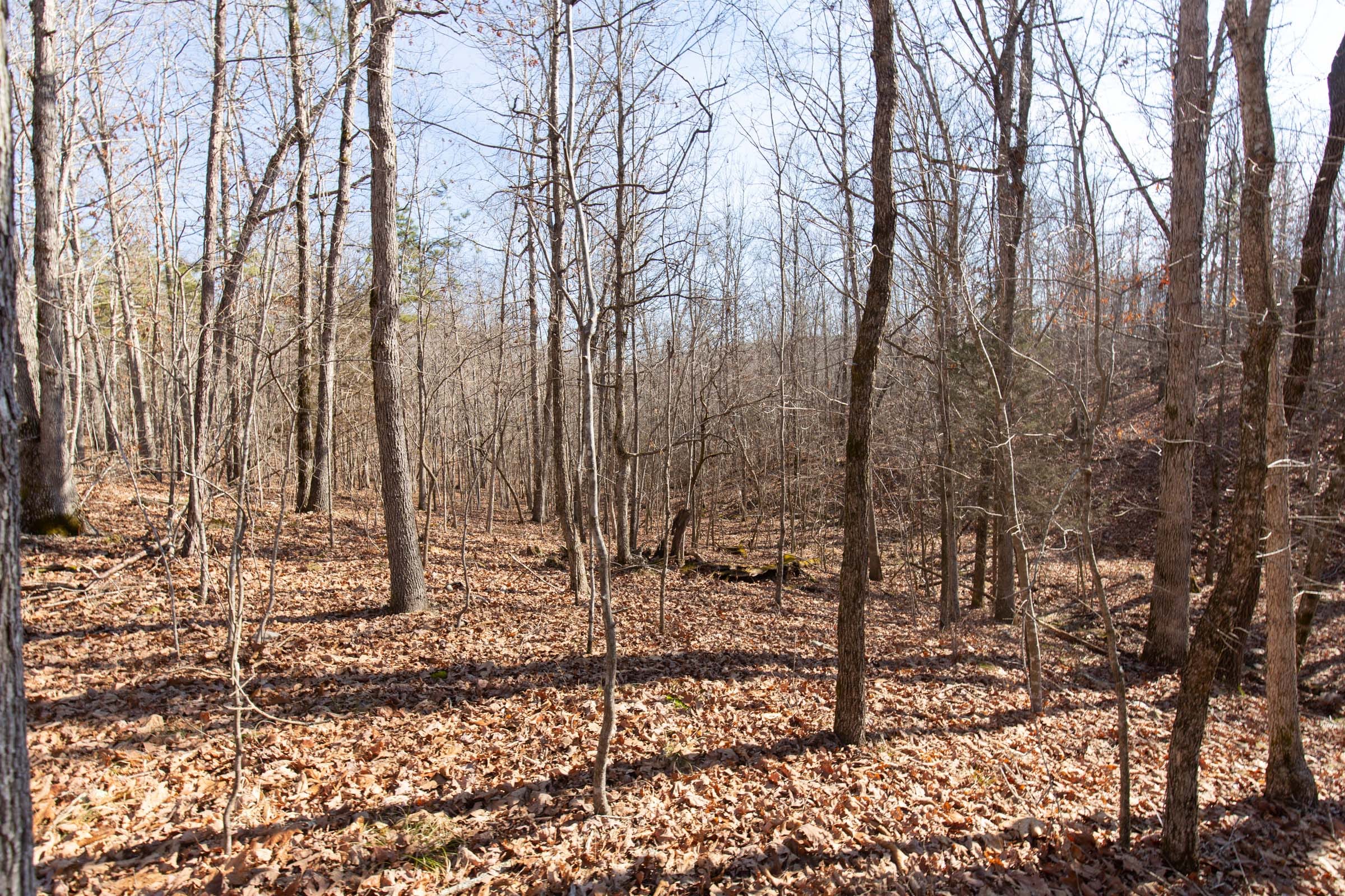 O’Connor Crossing Tract 28 photo 11