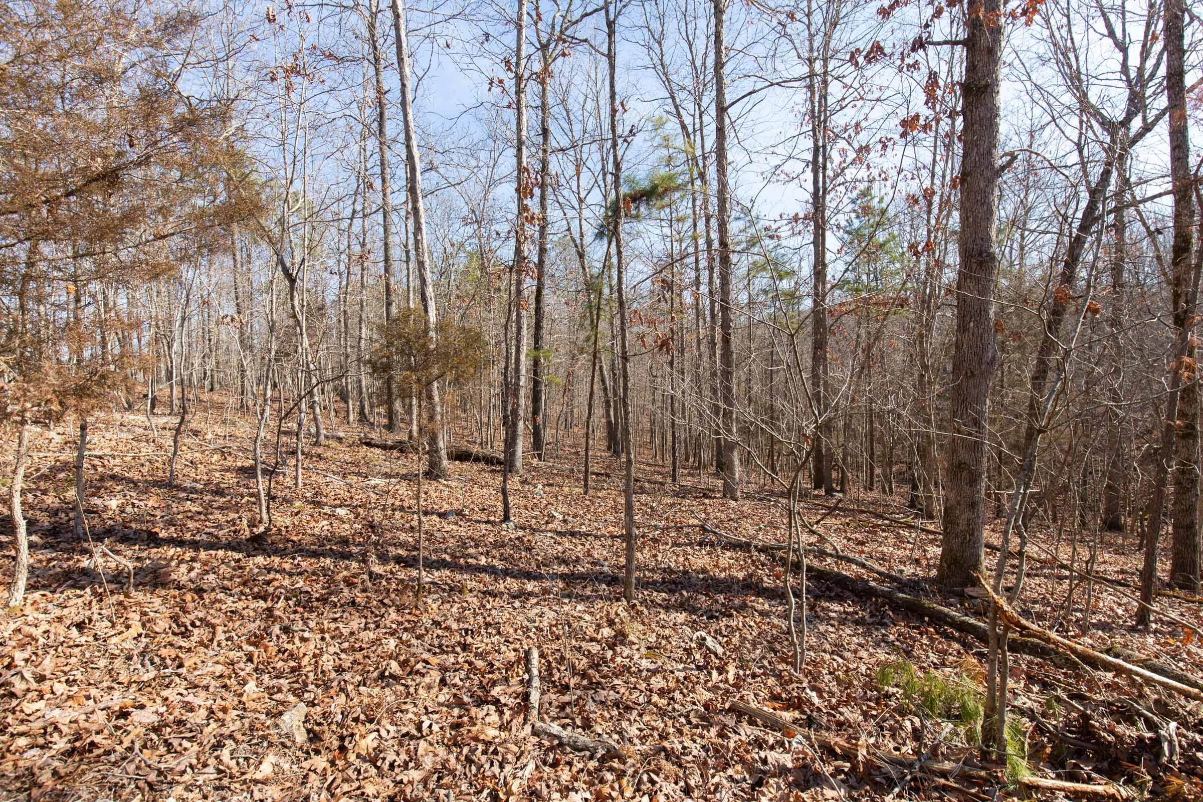 O’Connor Crossing Tract 28 photo 12