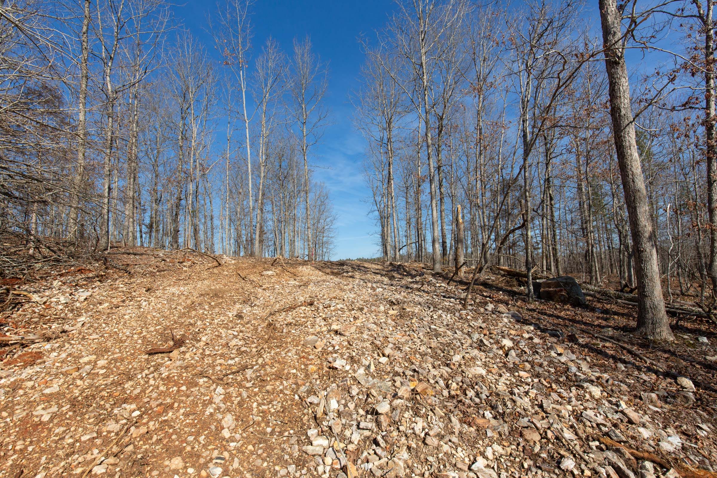O’Connor Crossing Tract 28 photo 2