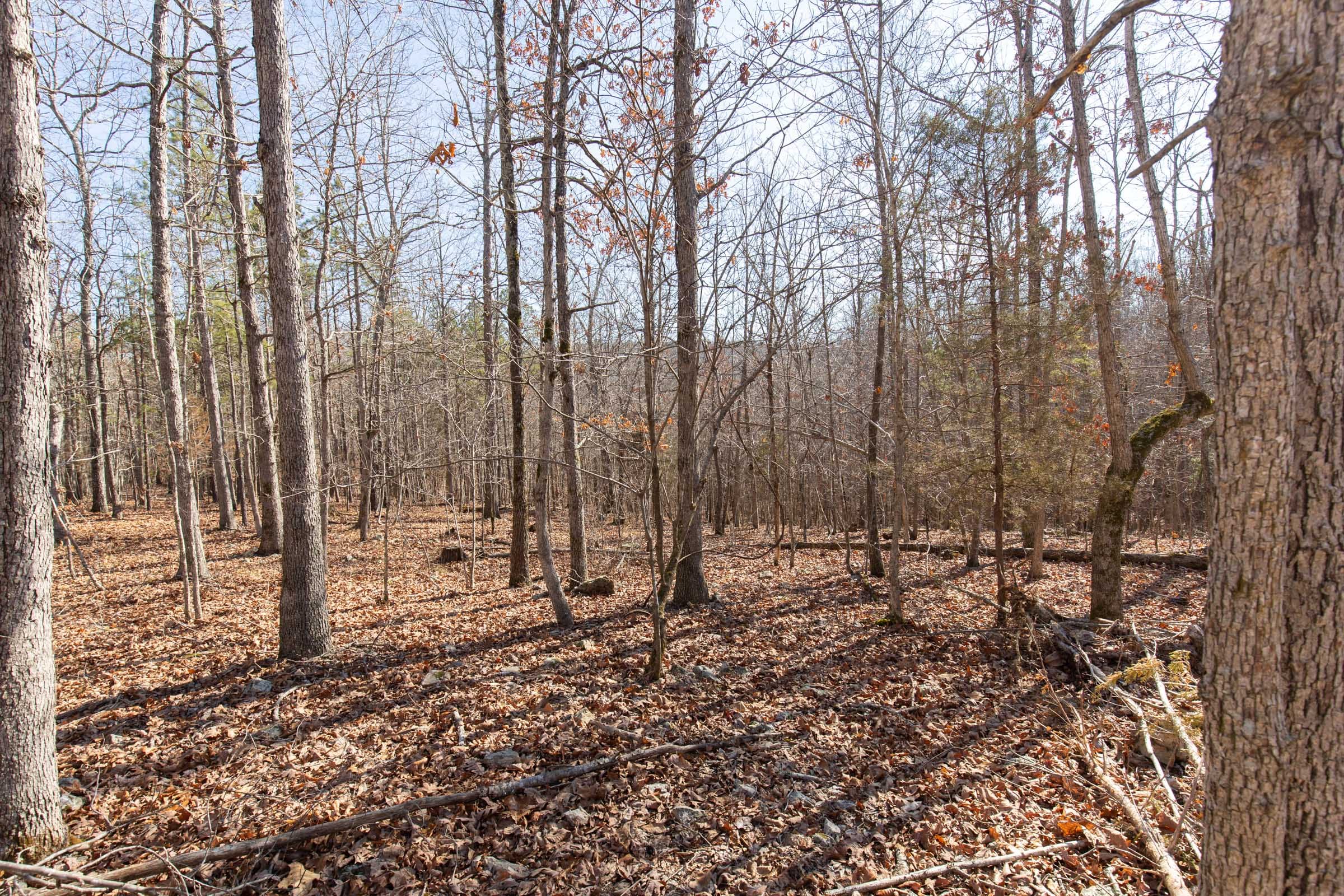 O’Connor Crossing Tract 28 photo 14