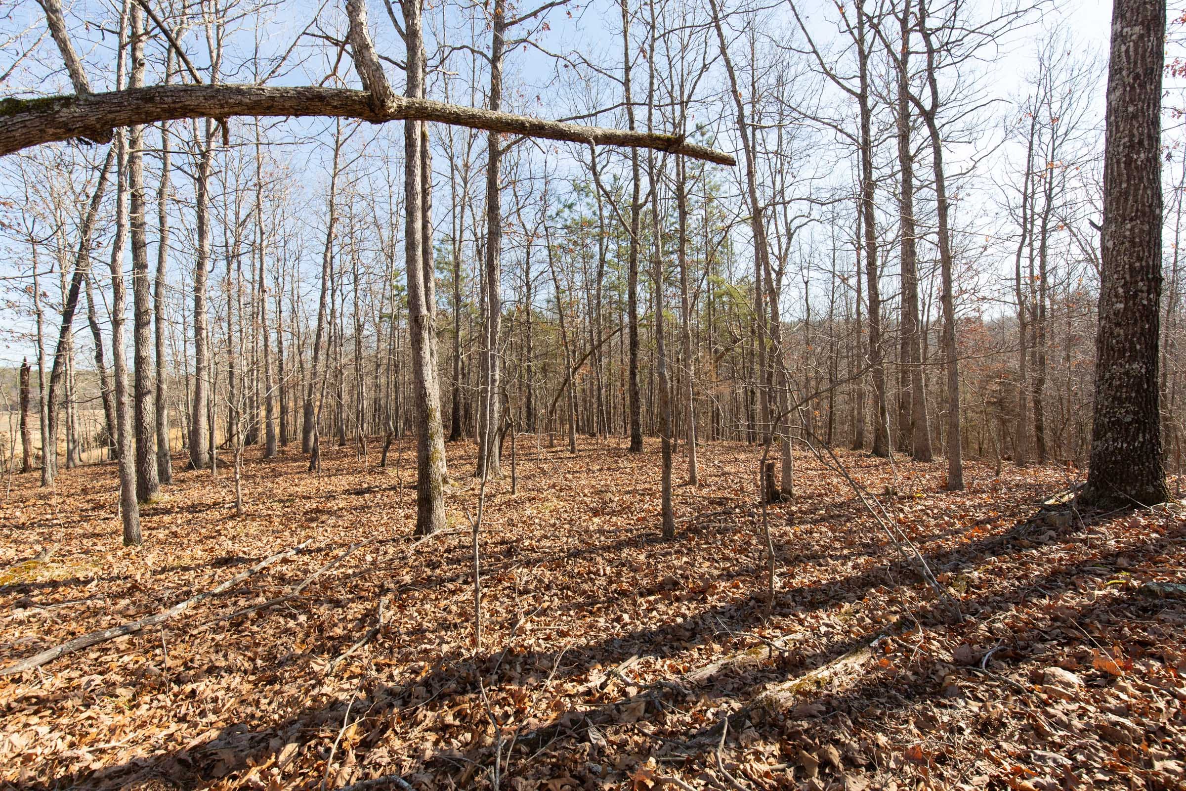 O’Connor Crossing Tract 28 photo 13