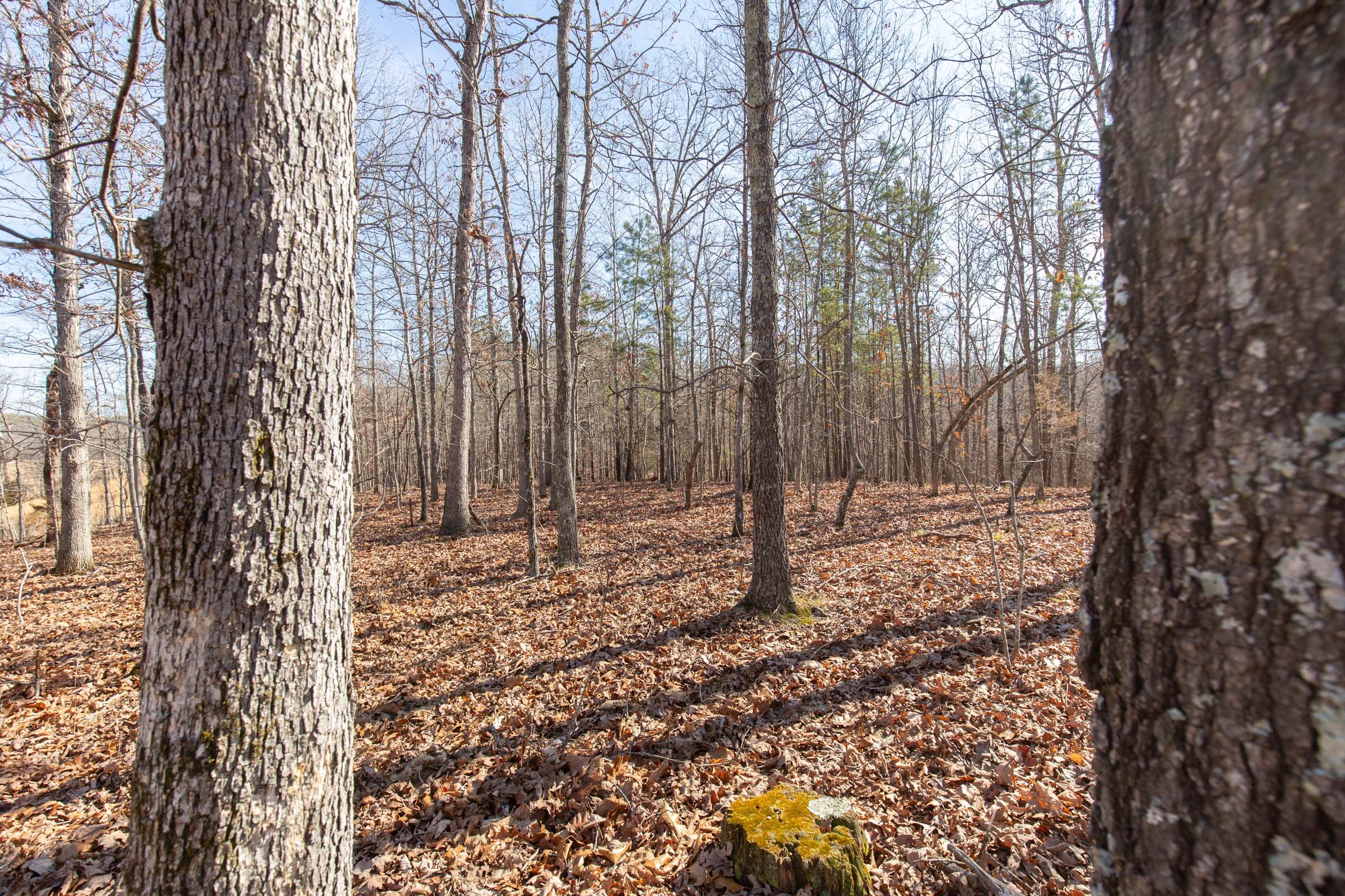 O’Connor Crossing Tract 28 photo 16