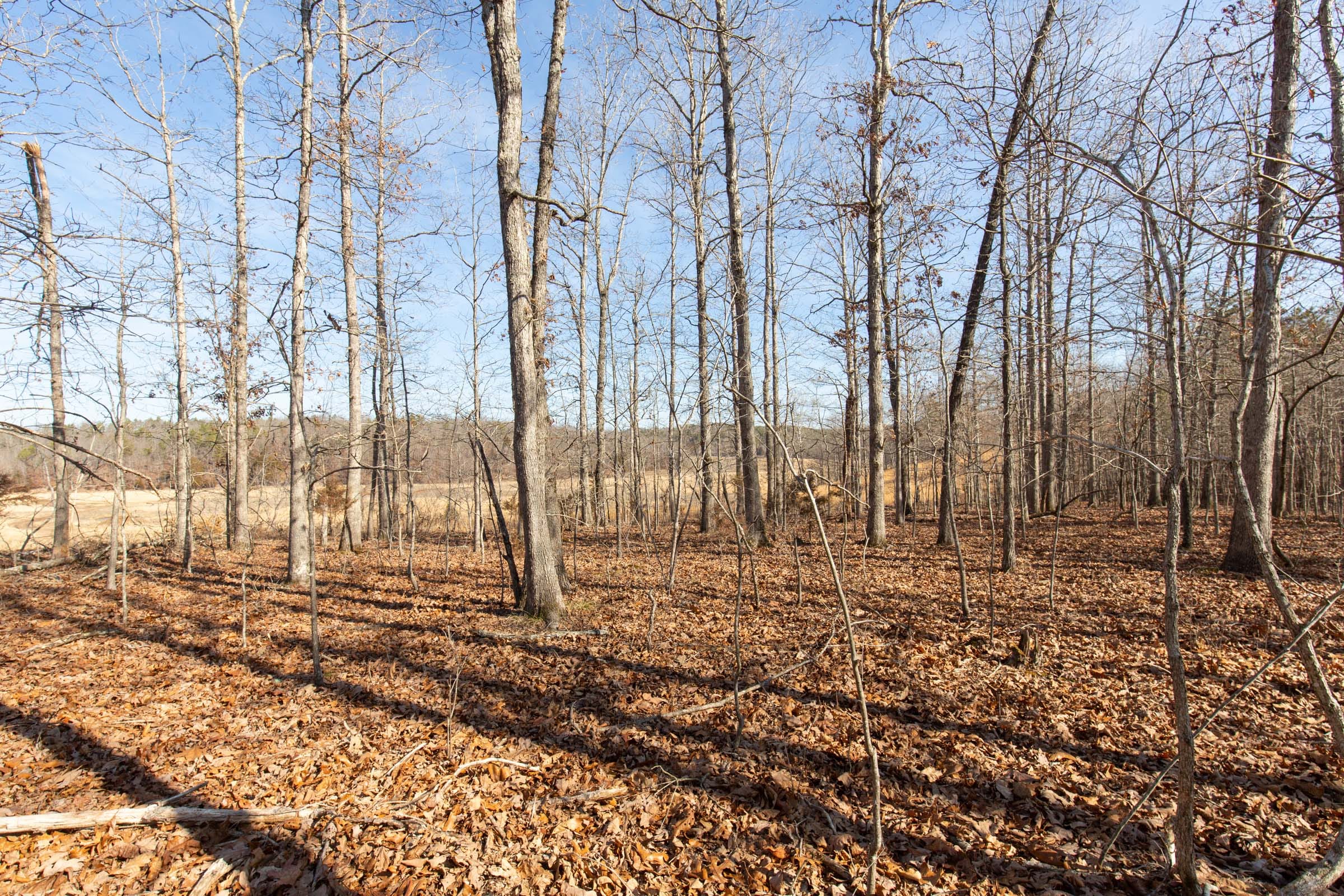 O’Connor Crossing Tract 28 photo 15