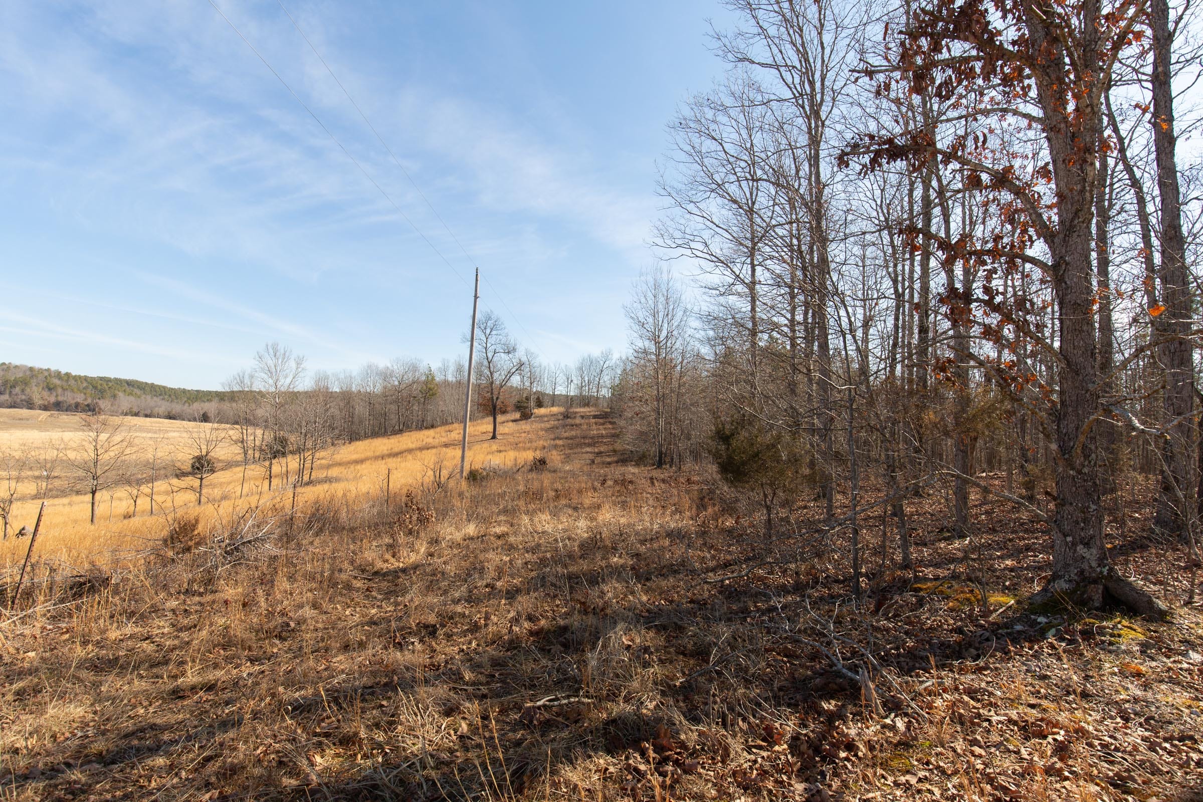 O’Connor Crossing Tract 28 photo 7