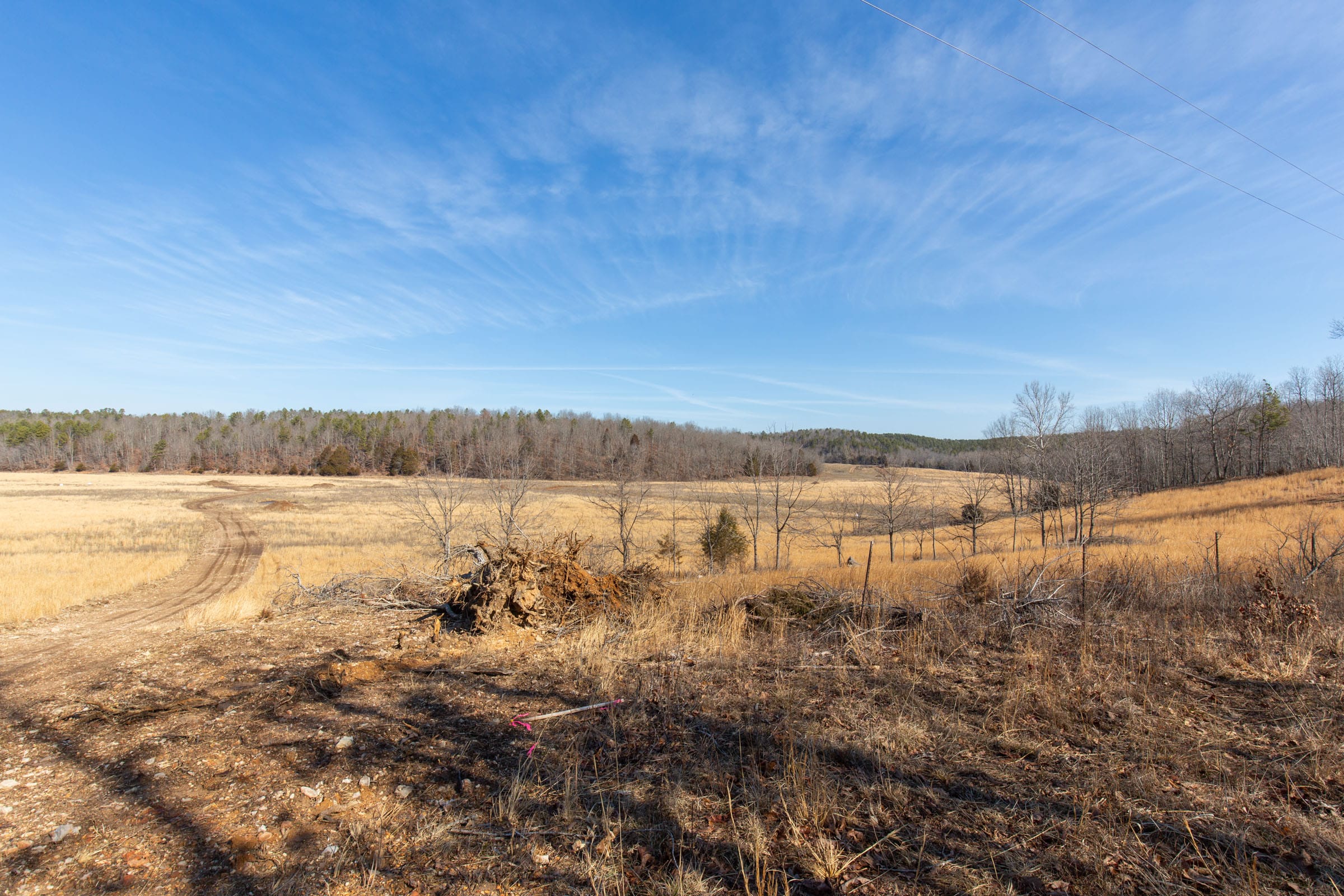 O’Connor Crossing Tract 28 photo 5