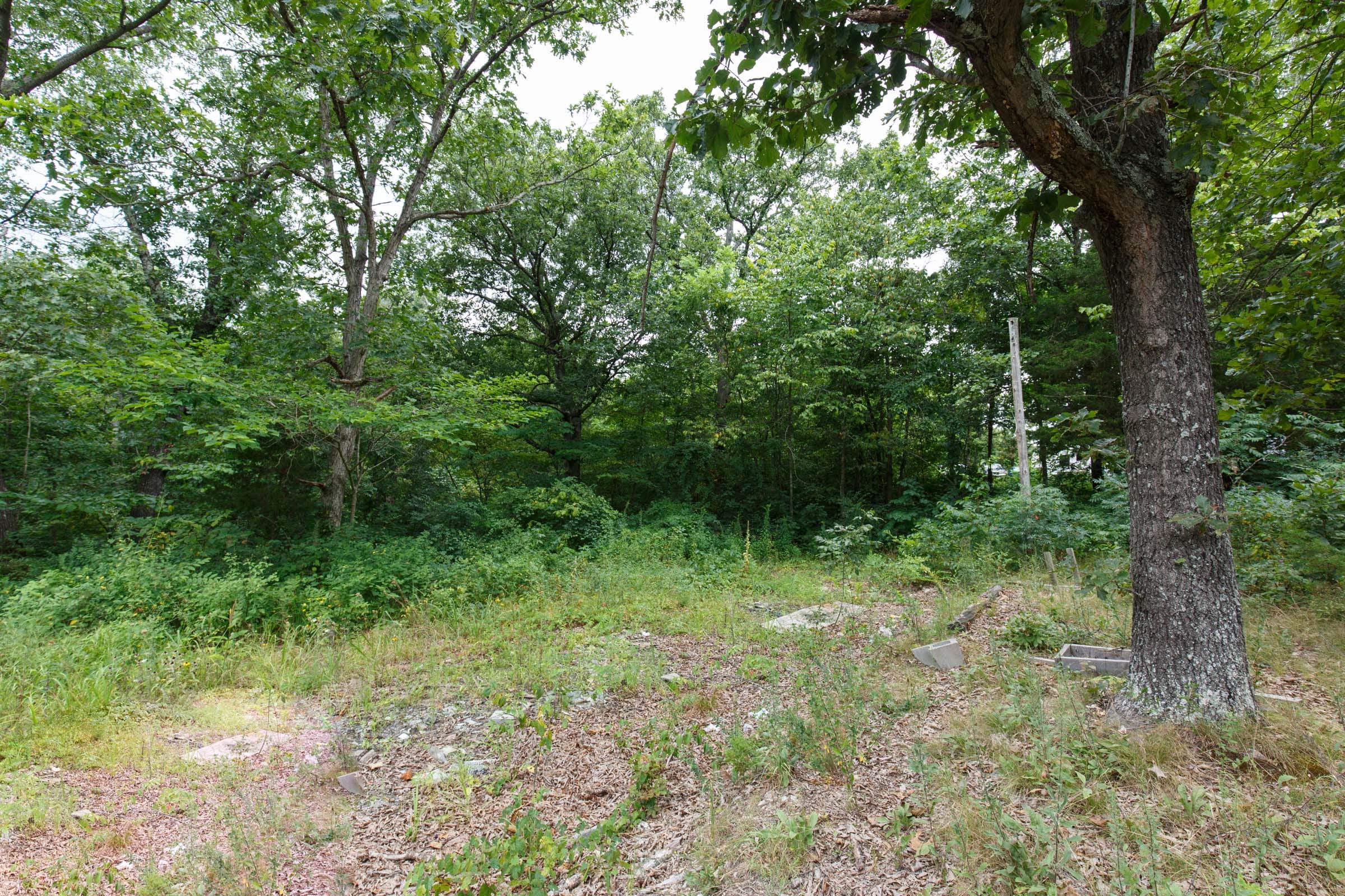 Spring Lake Plat 2 Tract 29 photo 4