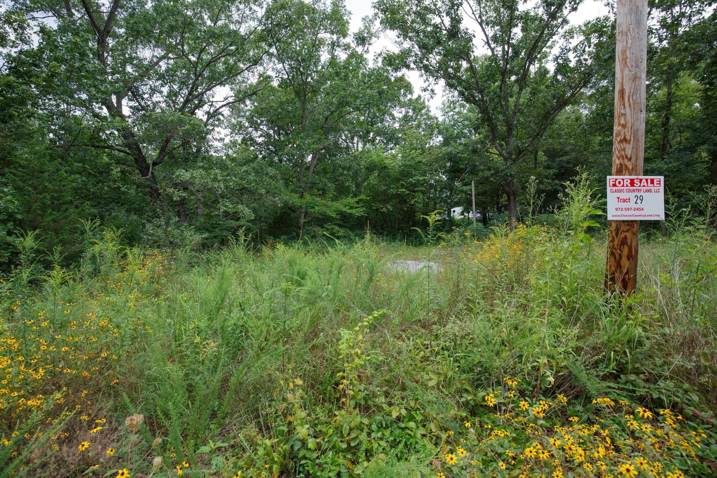 Spring Lake Plat 2 Tract 29 photo 1