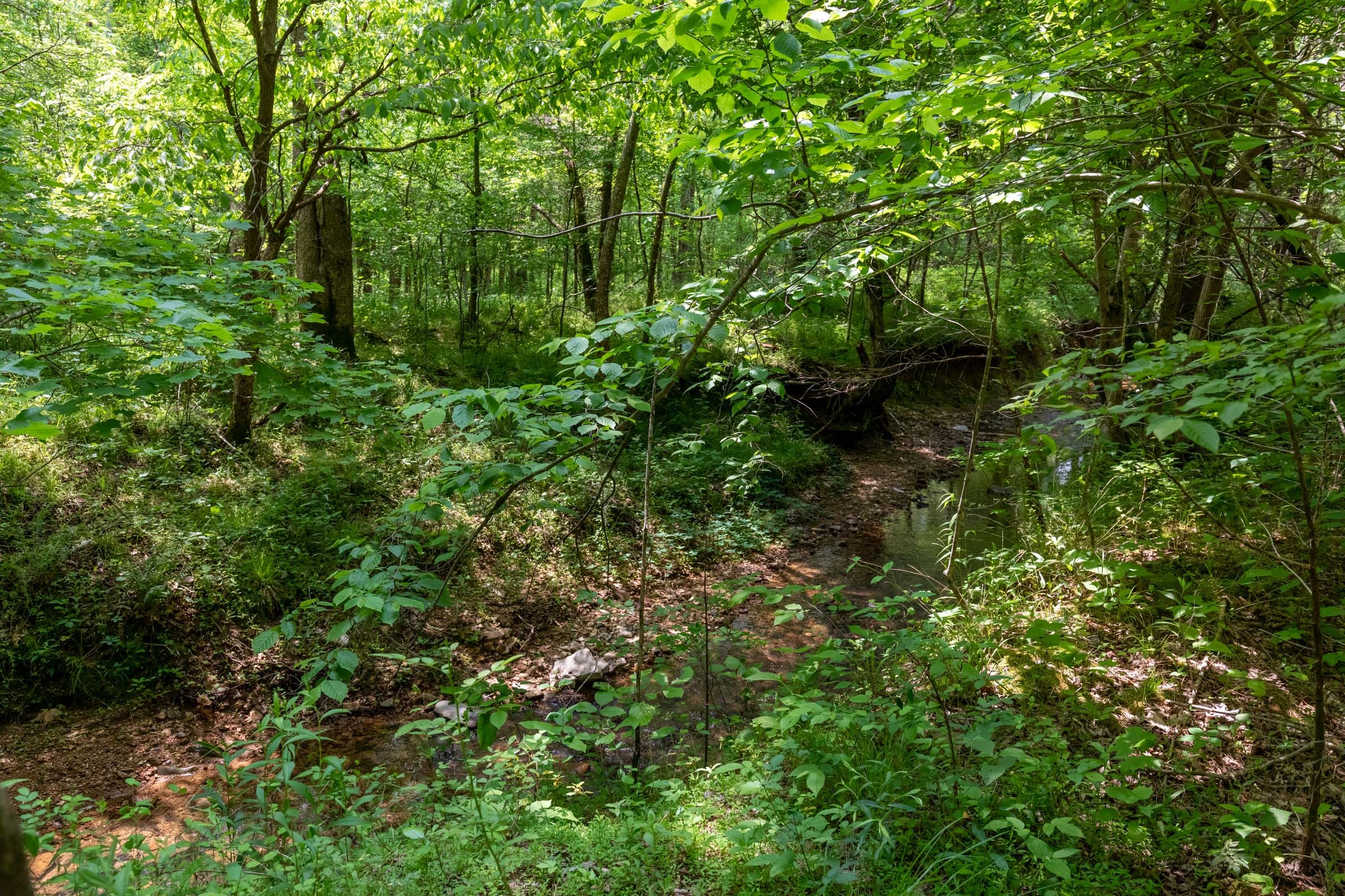 Cedar Creek Tract 35 photo 3