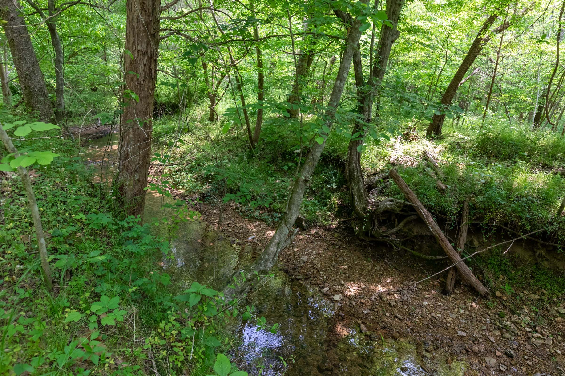 Cedar Creek Tract 35 photo 2
