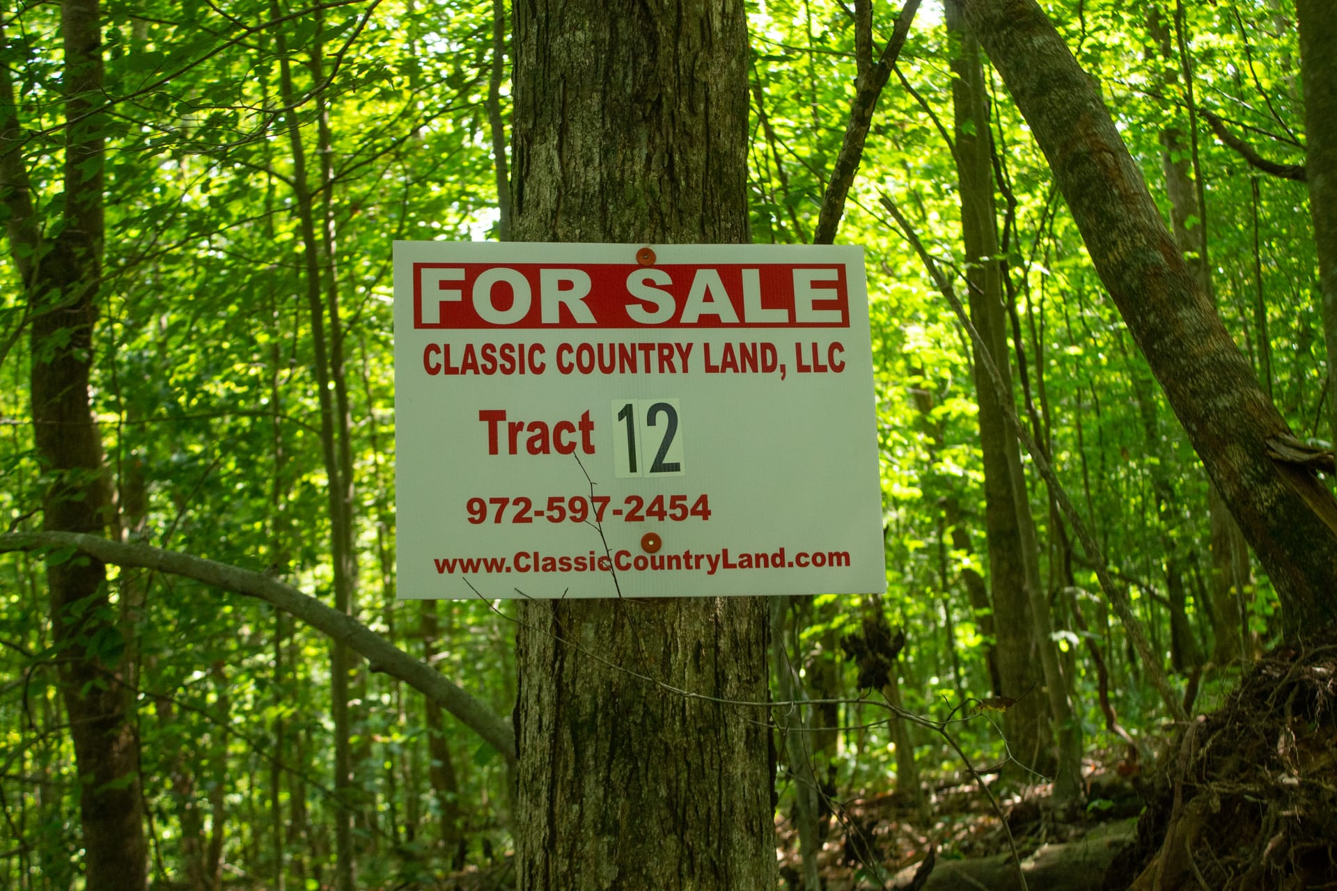 Bluegrass Ridge Tract 12 photo 1