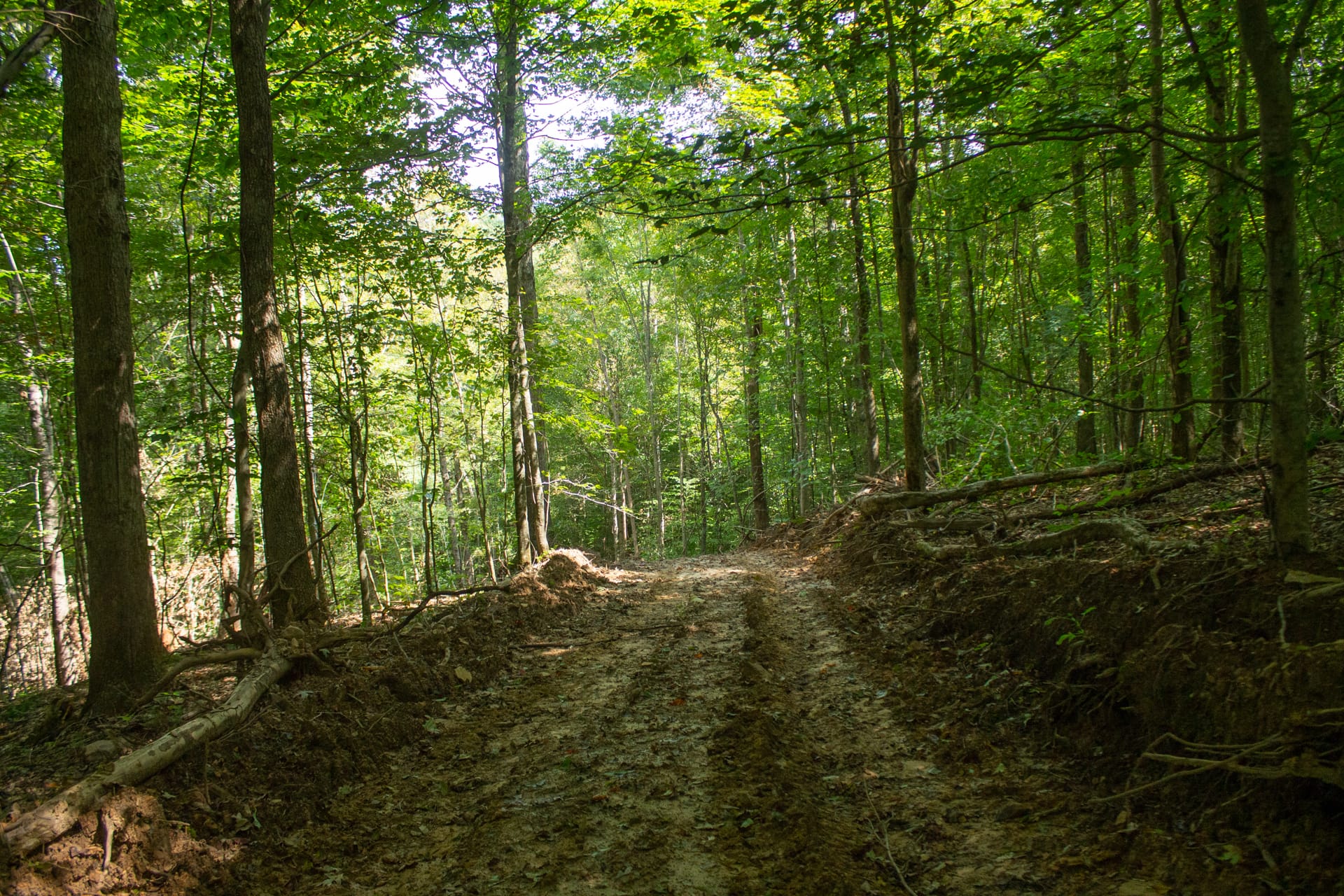 Bluegrass Ridge Tract 12 photo 2