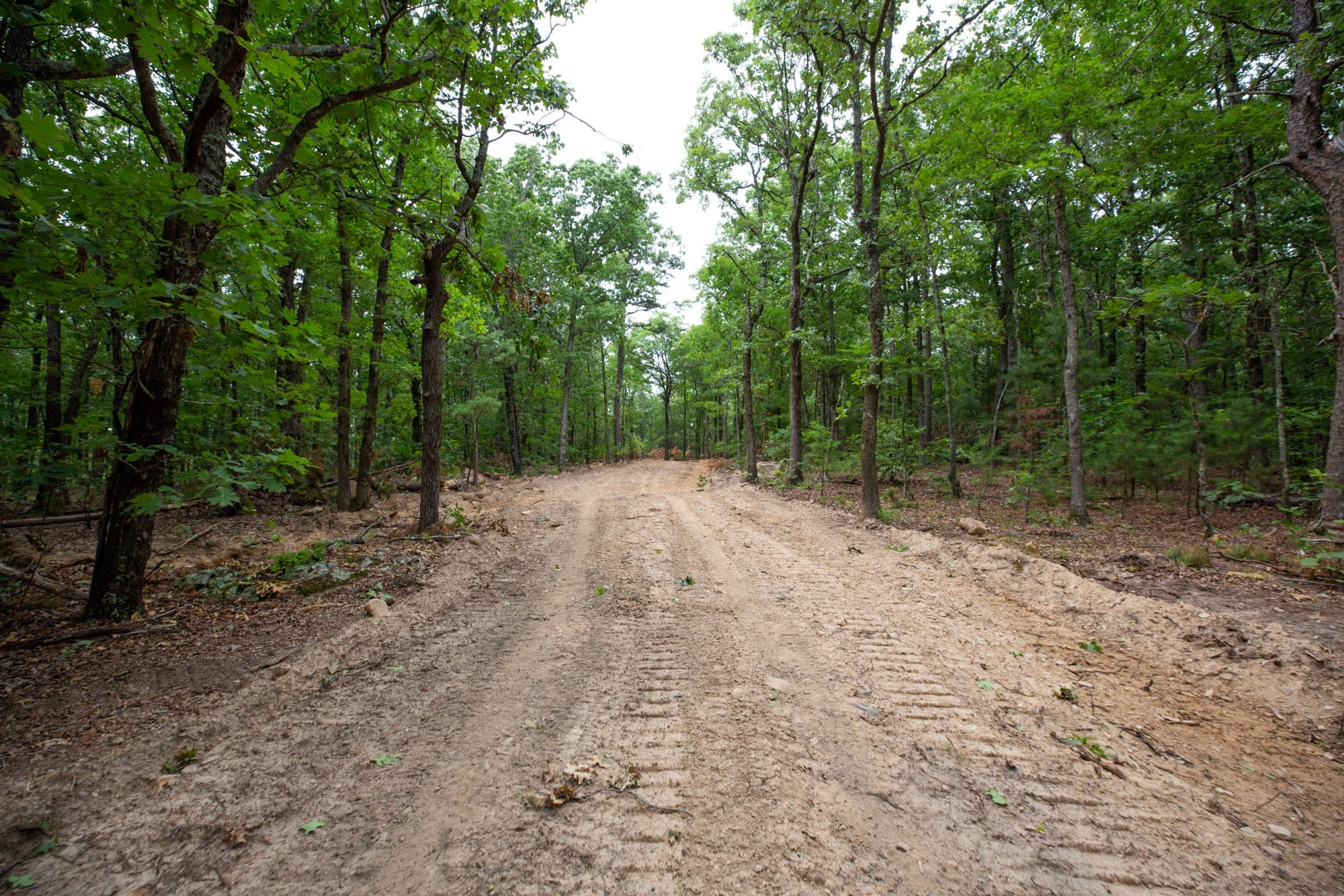 Eagle’s Nest Tract 85 photo 2