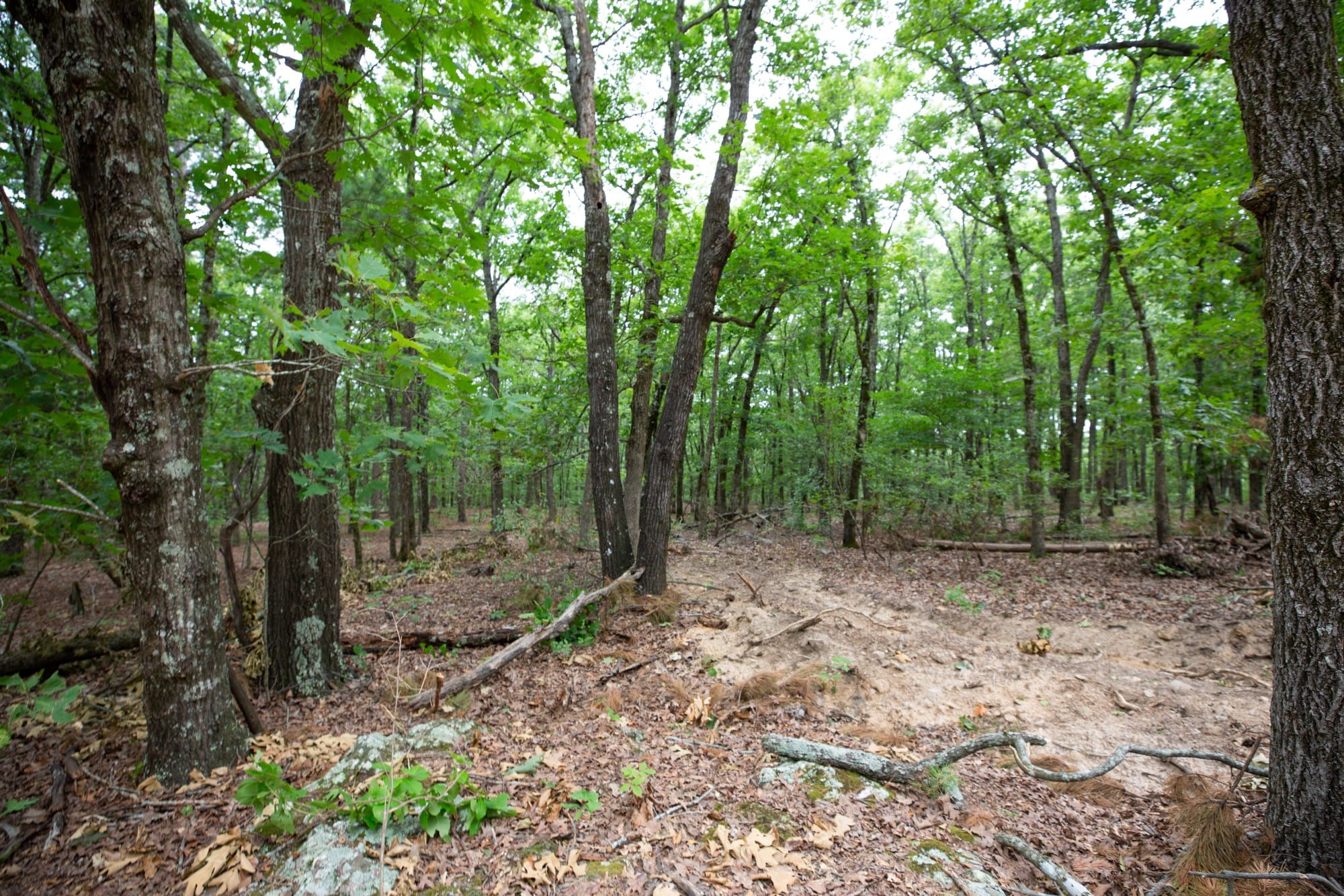 Eagle’s Nest Tract 85 photo 5