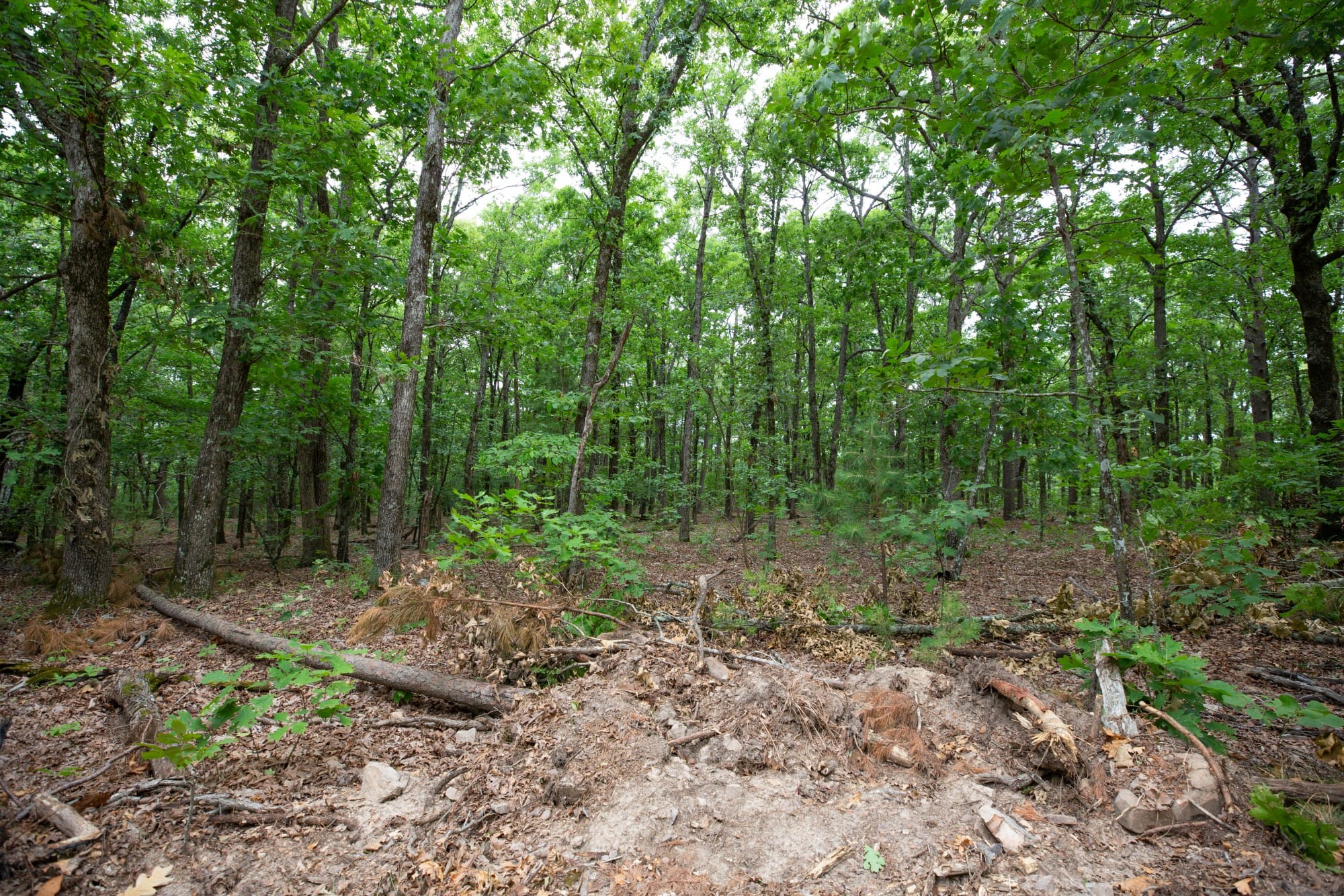Eagle’s Nest Tract 85 photo 7