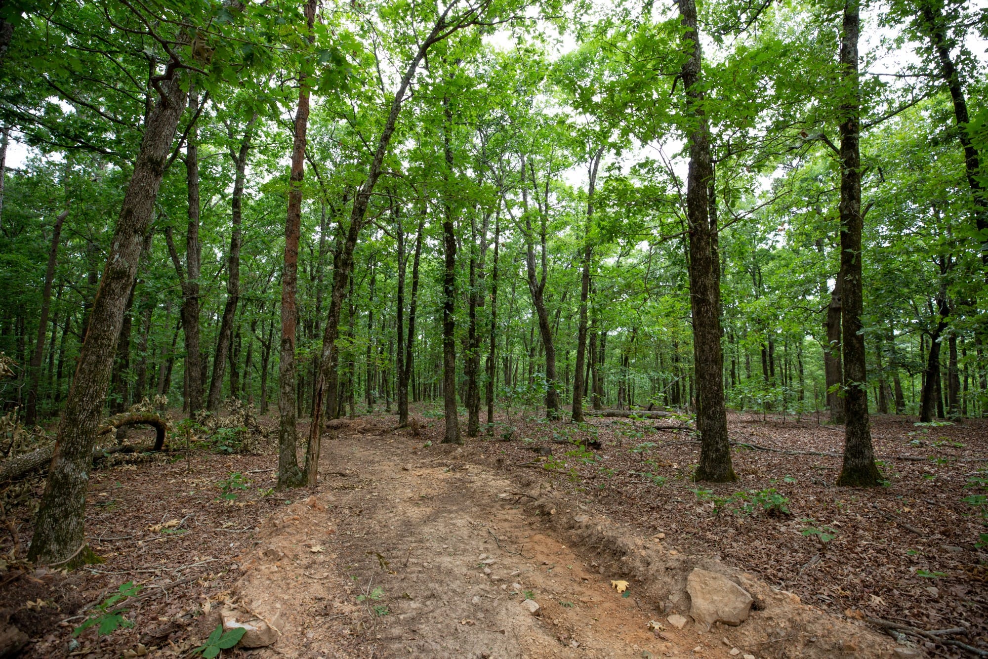 Eagle’s Nest Tract 85 photo 11