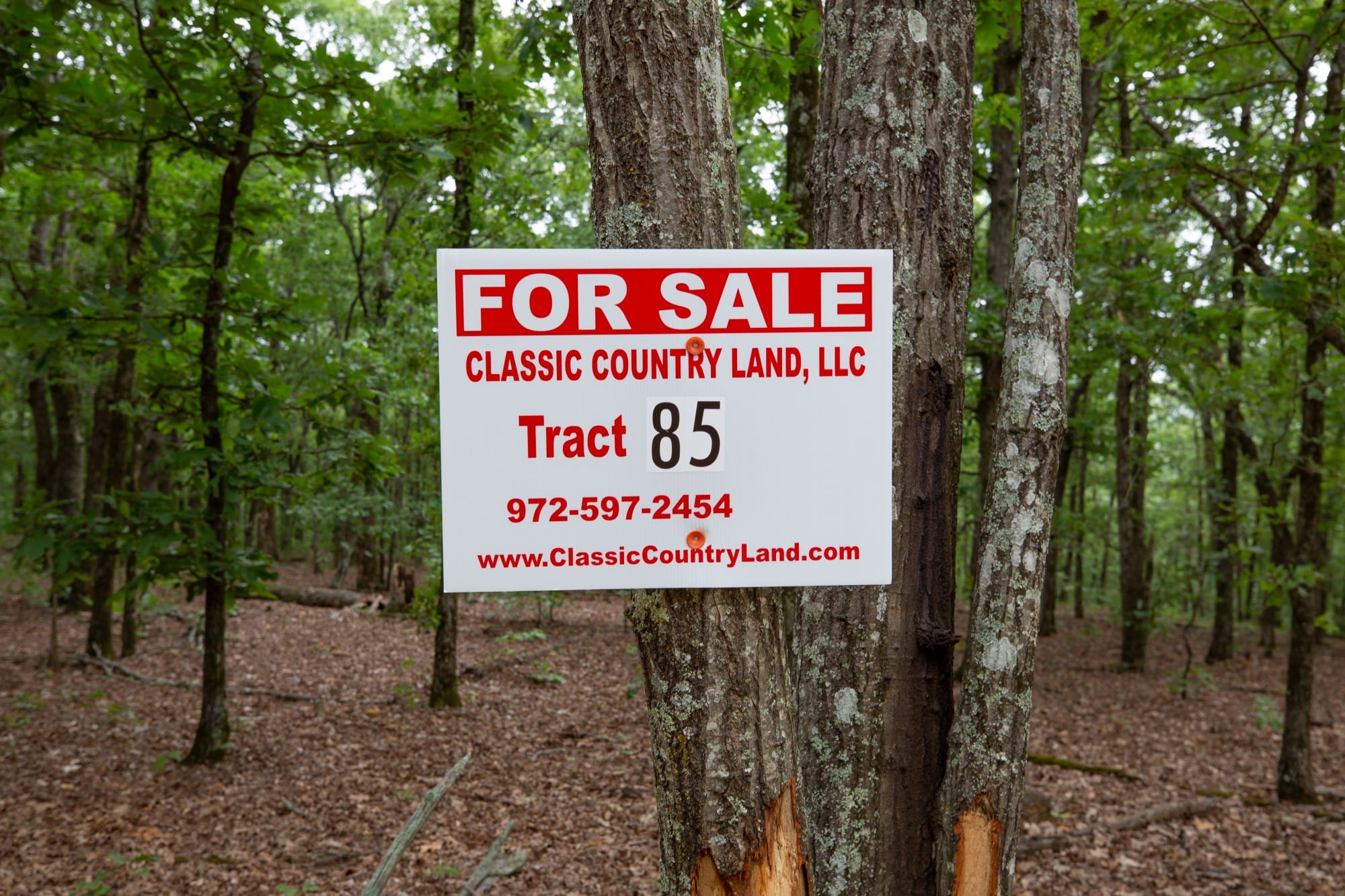 Eagle’s Nest Tract 85 photo 1