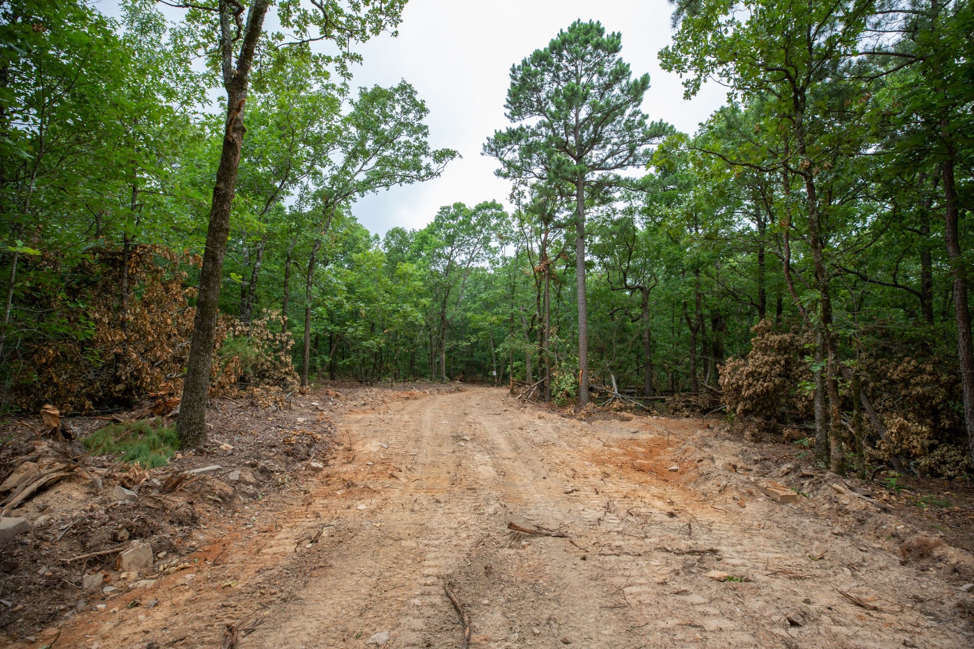 Eagle’s Nest Tract 85 photo 6