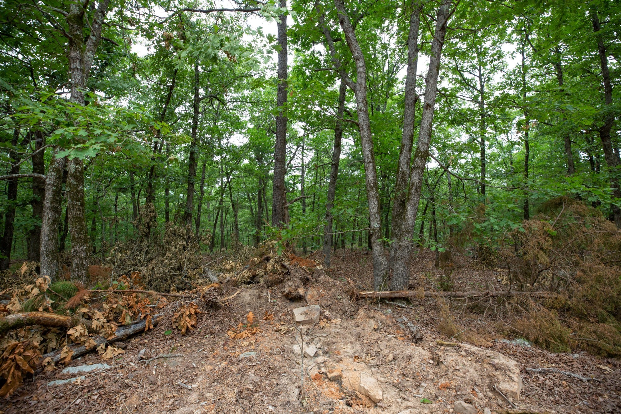 Eagle’s Nest Tract 85 photo 10