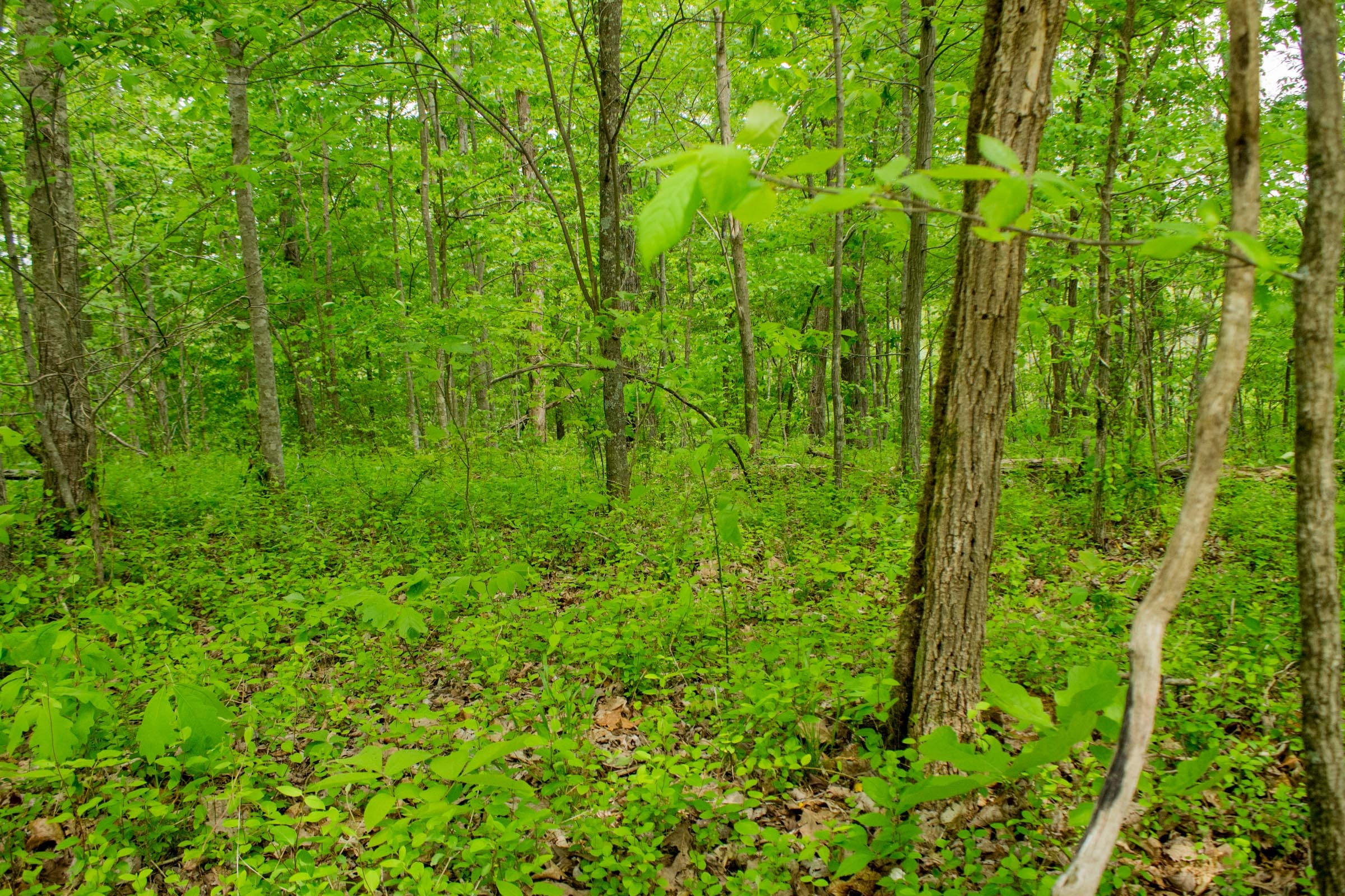 Trails End Tract 7 photo 1