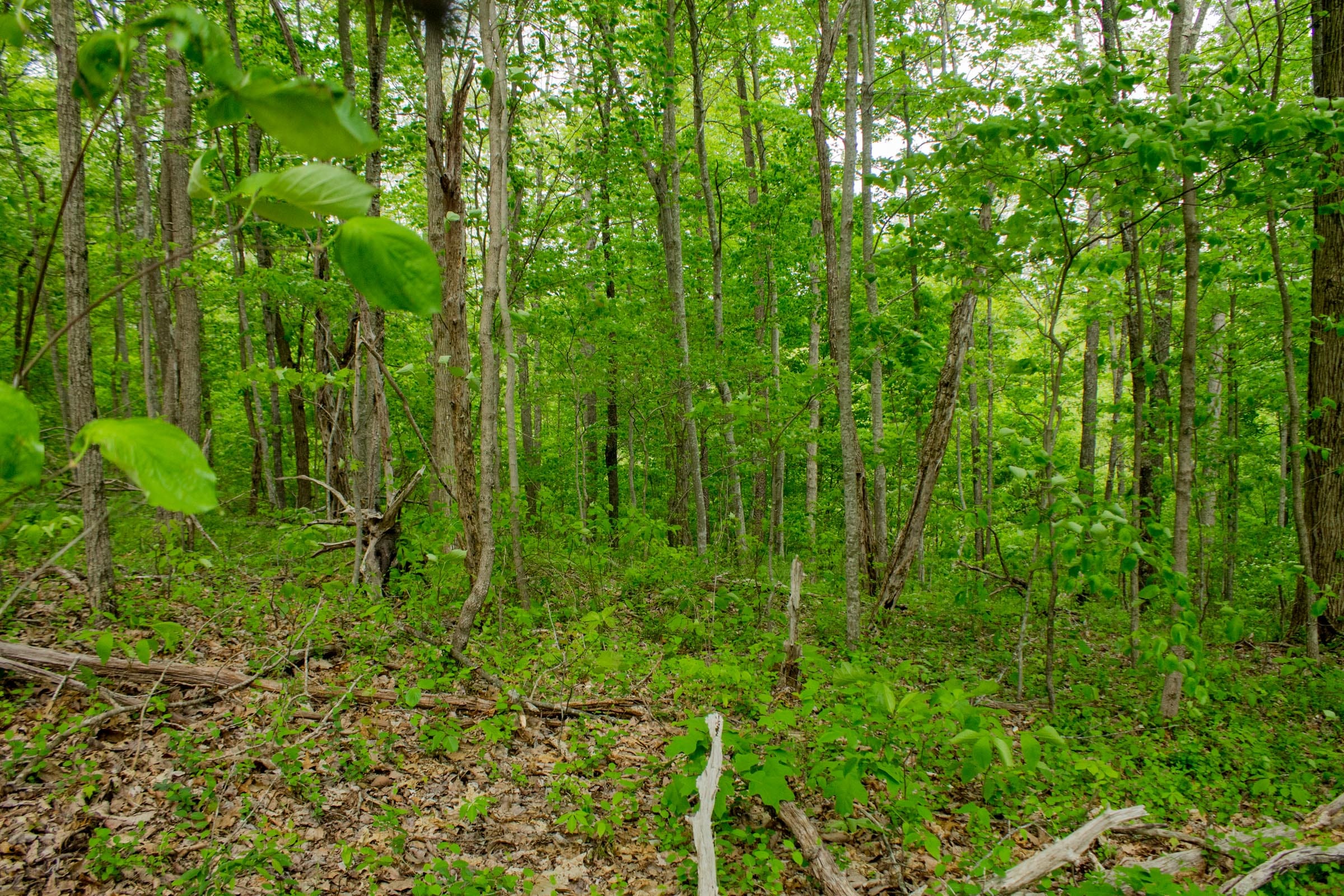 Trails End Tract 7 photo 12