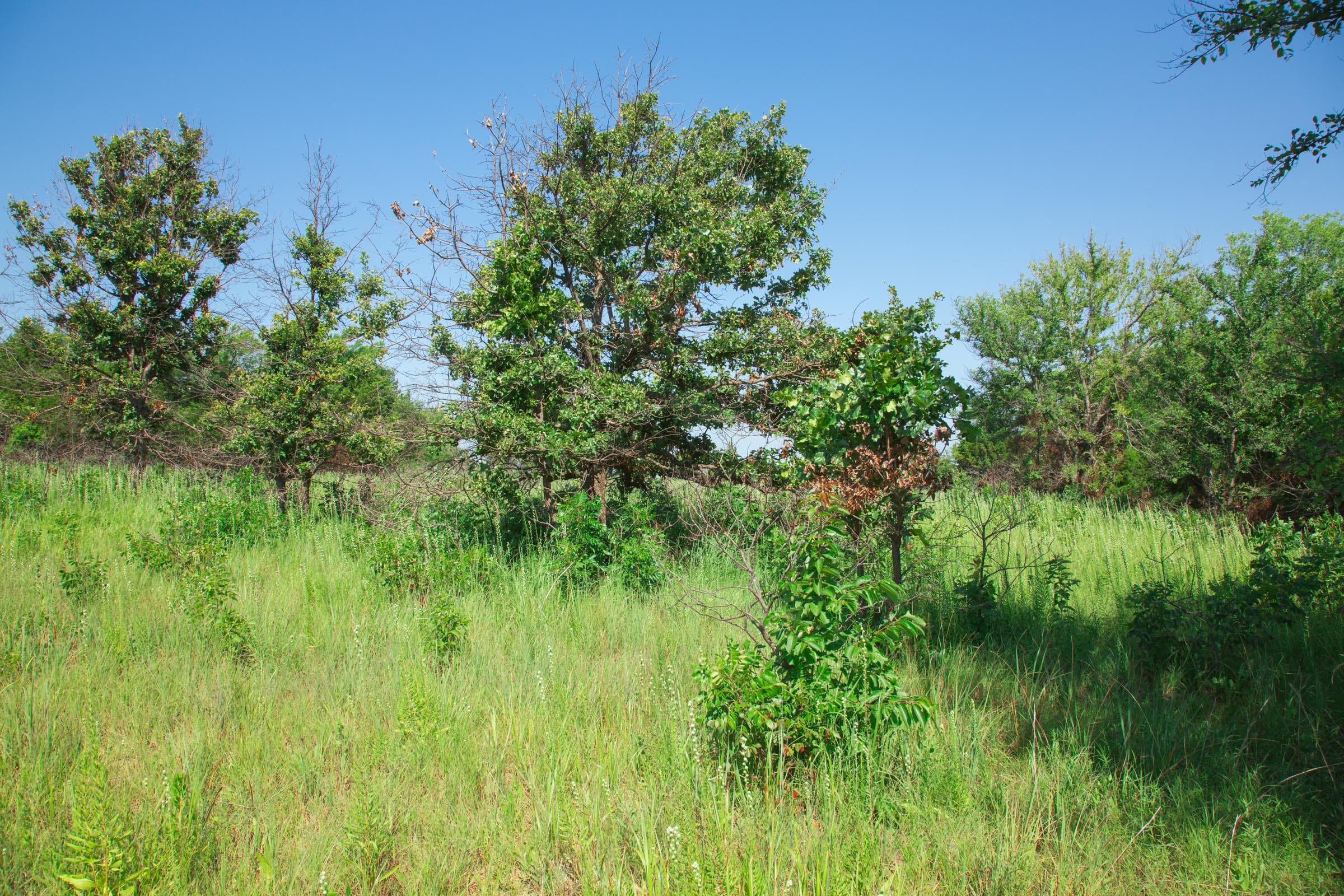 Deep Fork Ranch Tract 15 photo 1