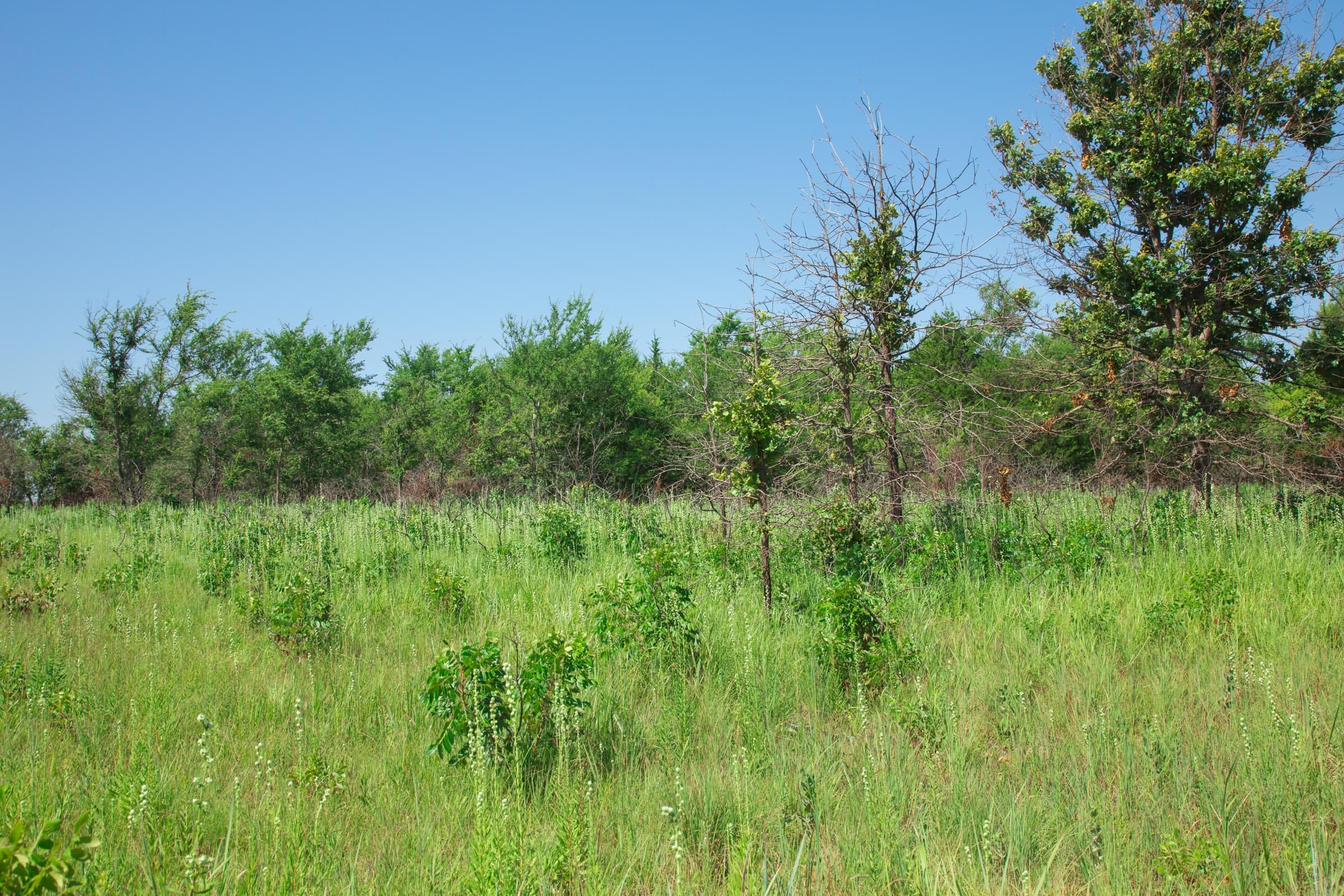 Deep Fork Ranch Tract 15 photo 2