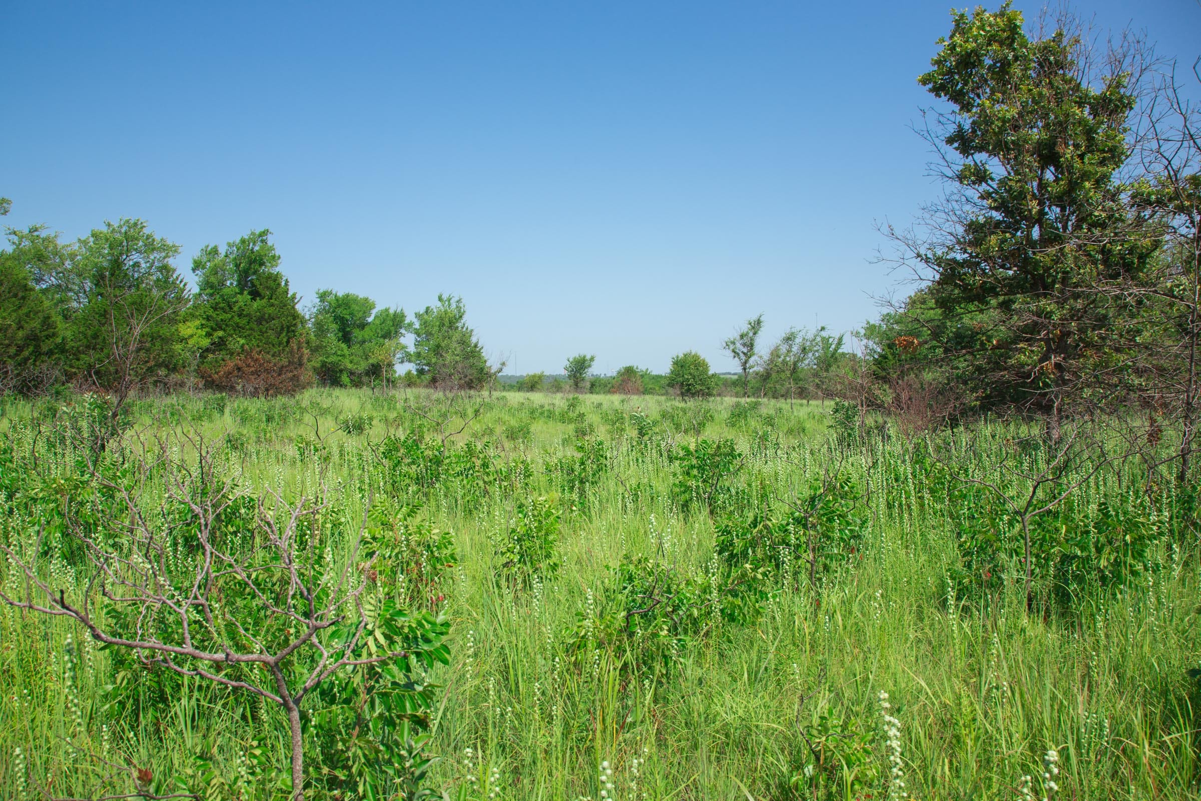 Deep Fork Ranch Tract 15 photo 4