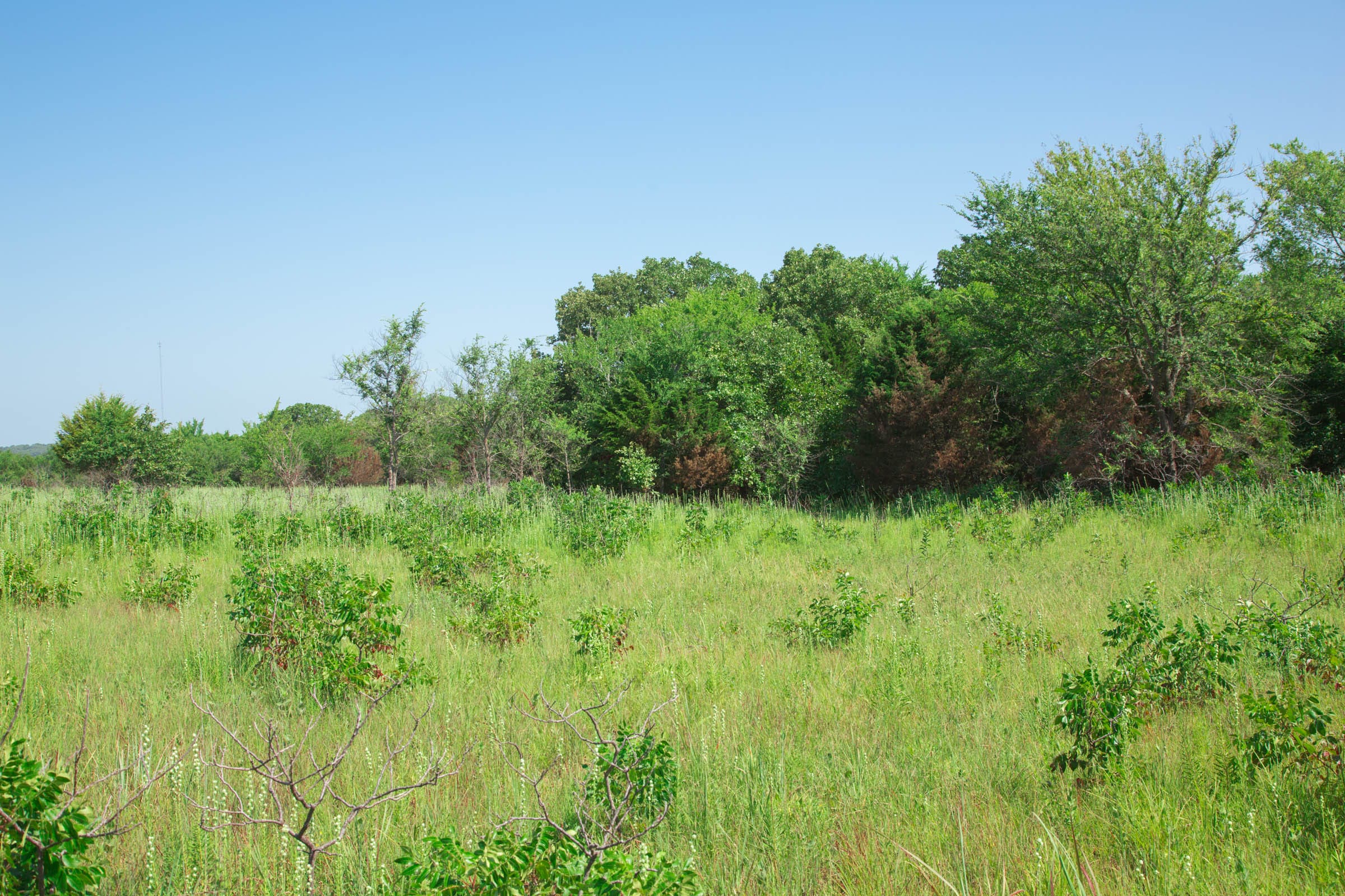 Deep Fork Ranch Tract 15 photo 6