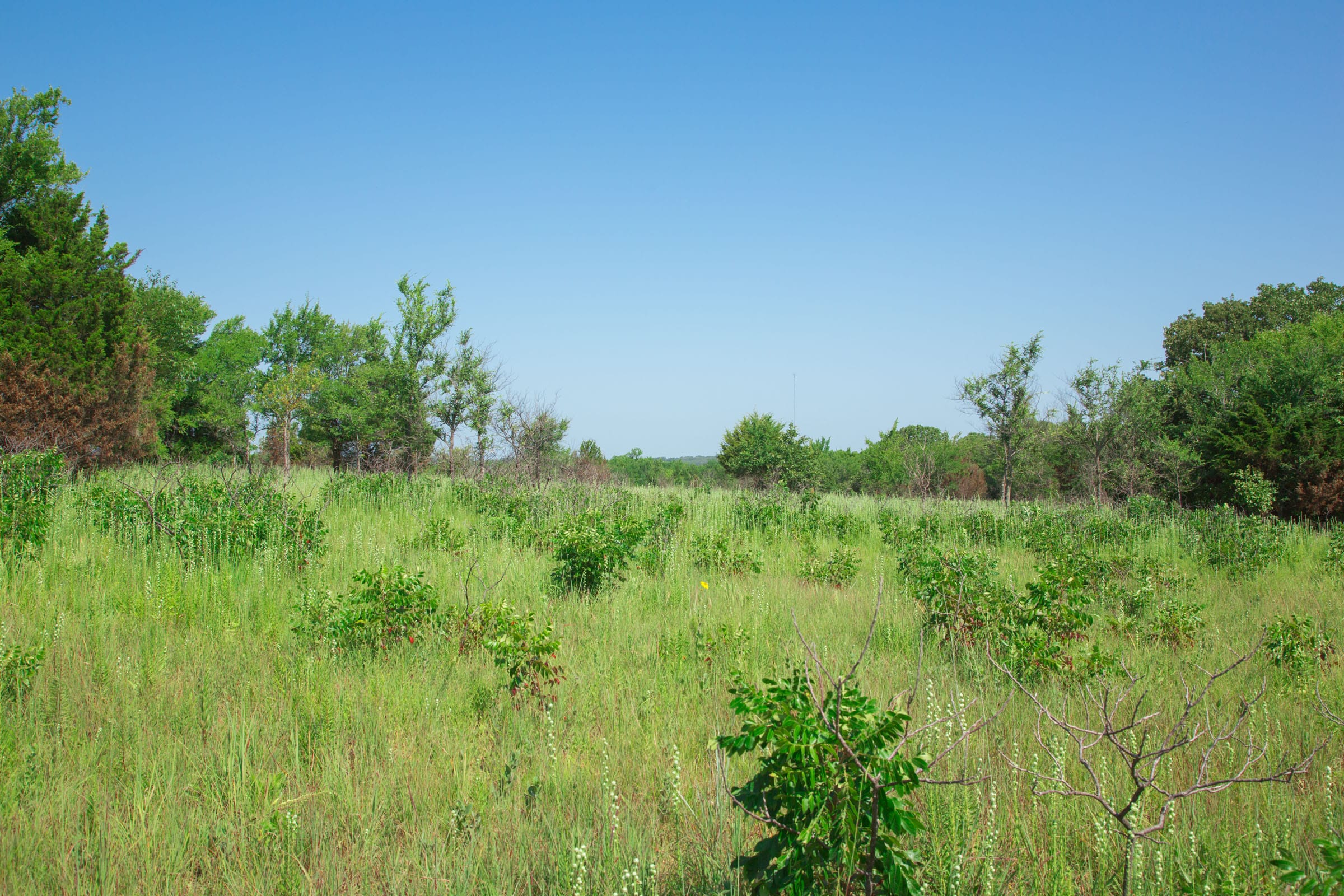 Deep Fork Ranch Tract 15 photo 7