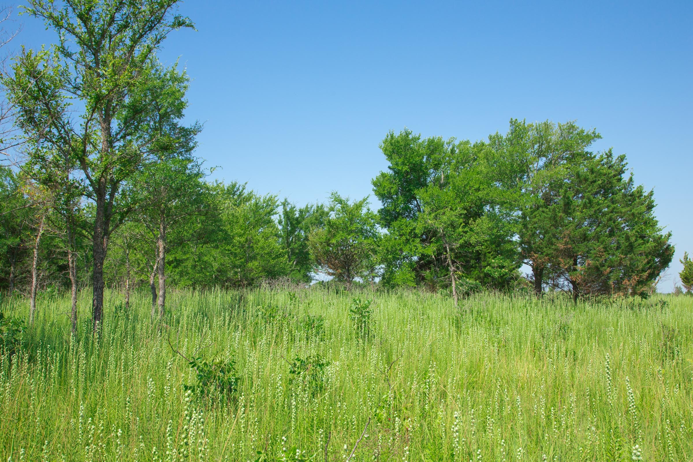 Deep Fork Ranch Tract 15 photo 8