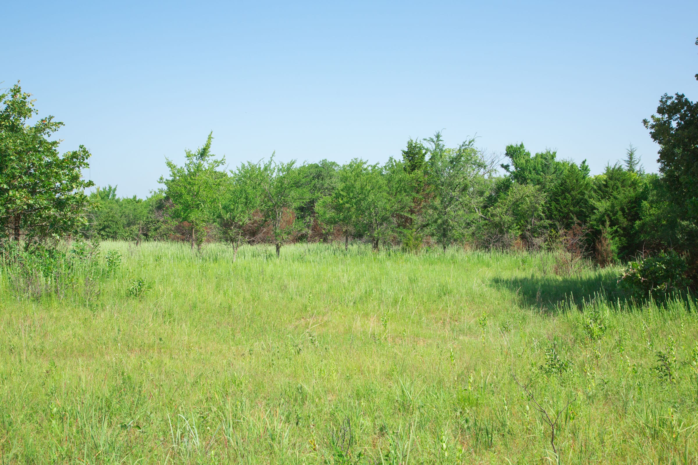 Deep Fork Ranch Tract 15 photo 9