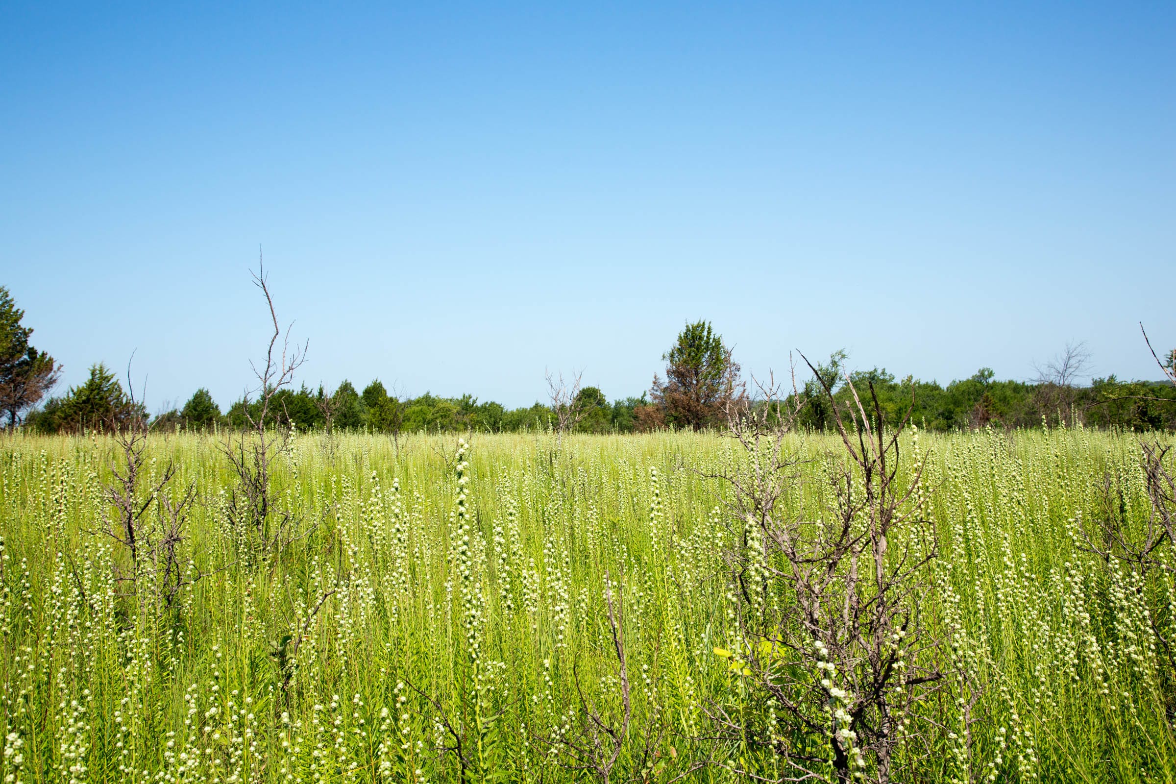 Deep Fork Ranch Tract 15 photo 10
