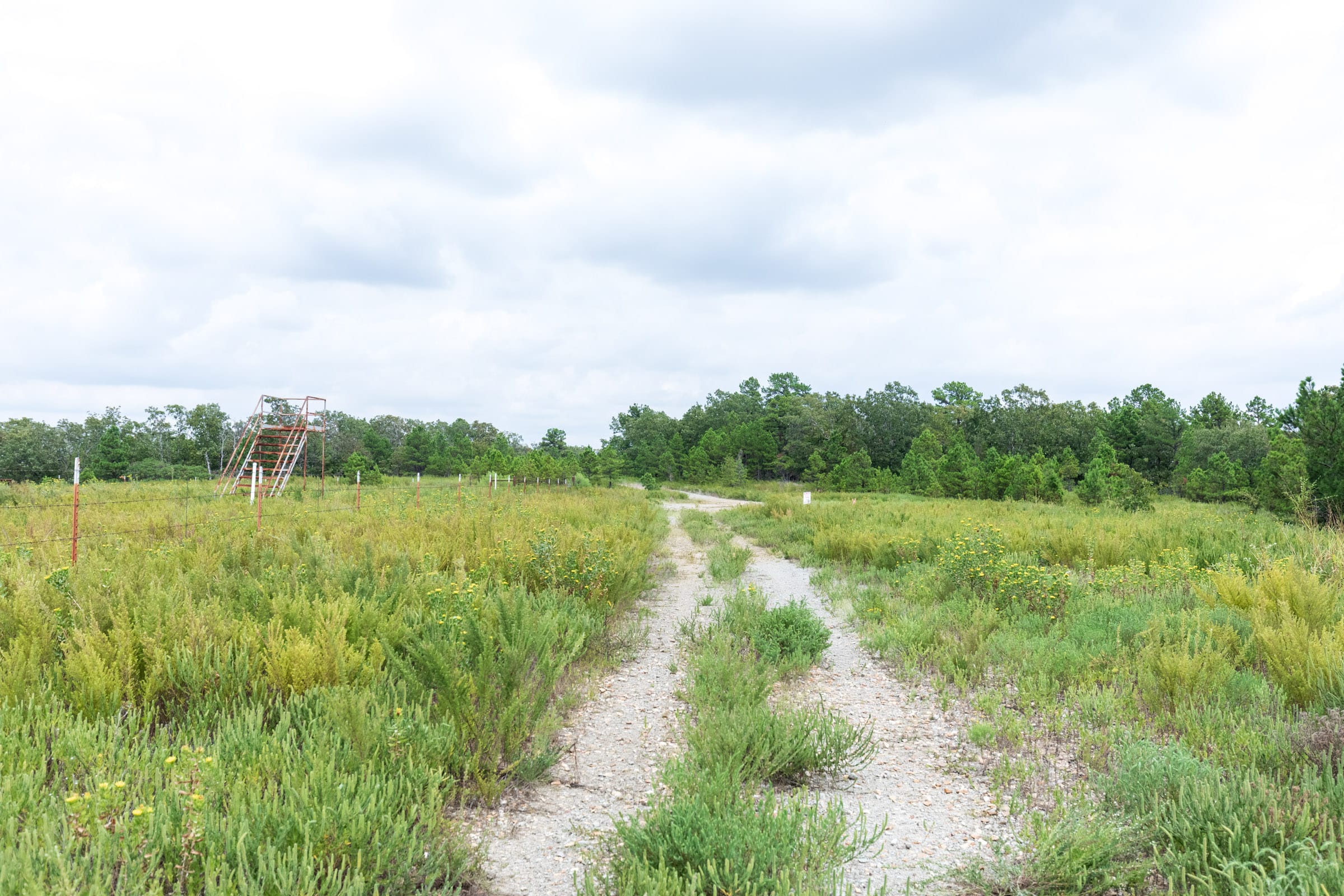 Stone Bridge Phase V Tract 340 photo 1