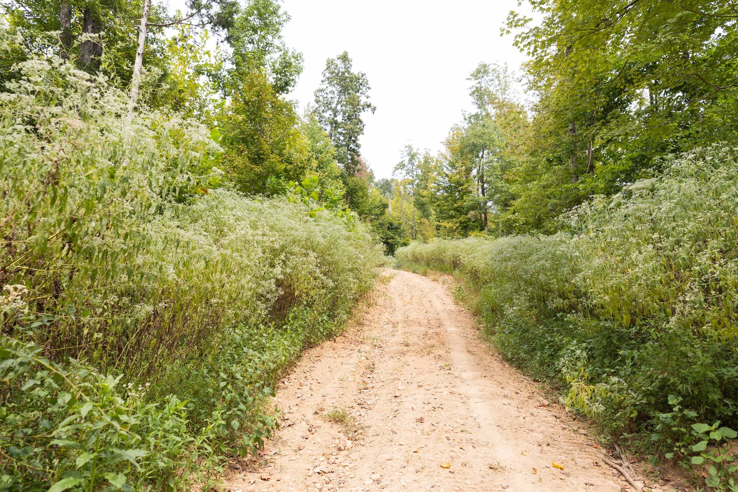 Big White Oak Tract 92 photo 17