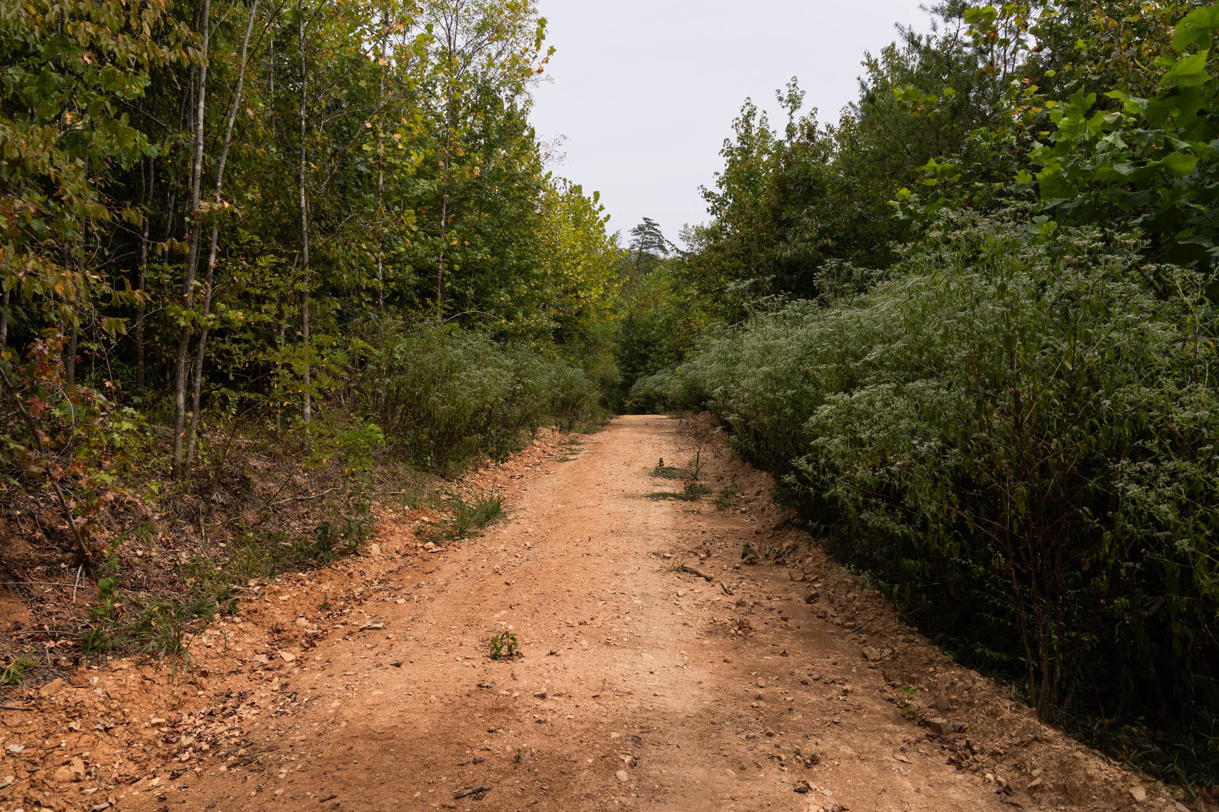 Big White Oak Tract 92 photo 13