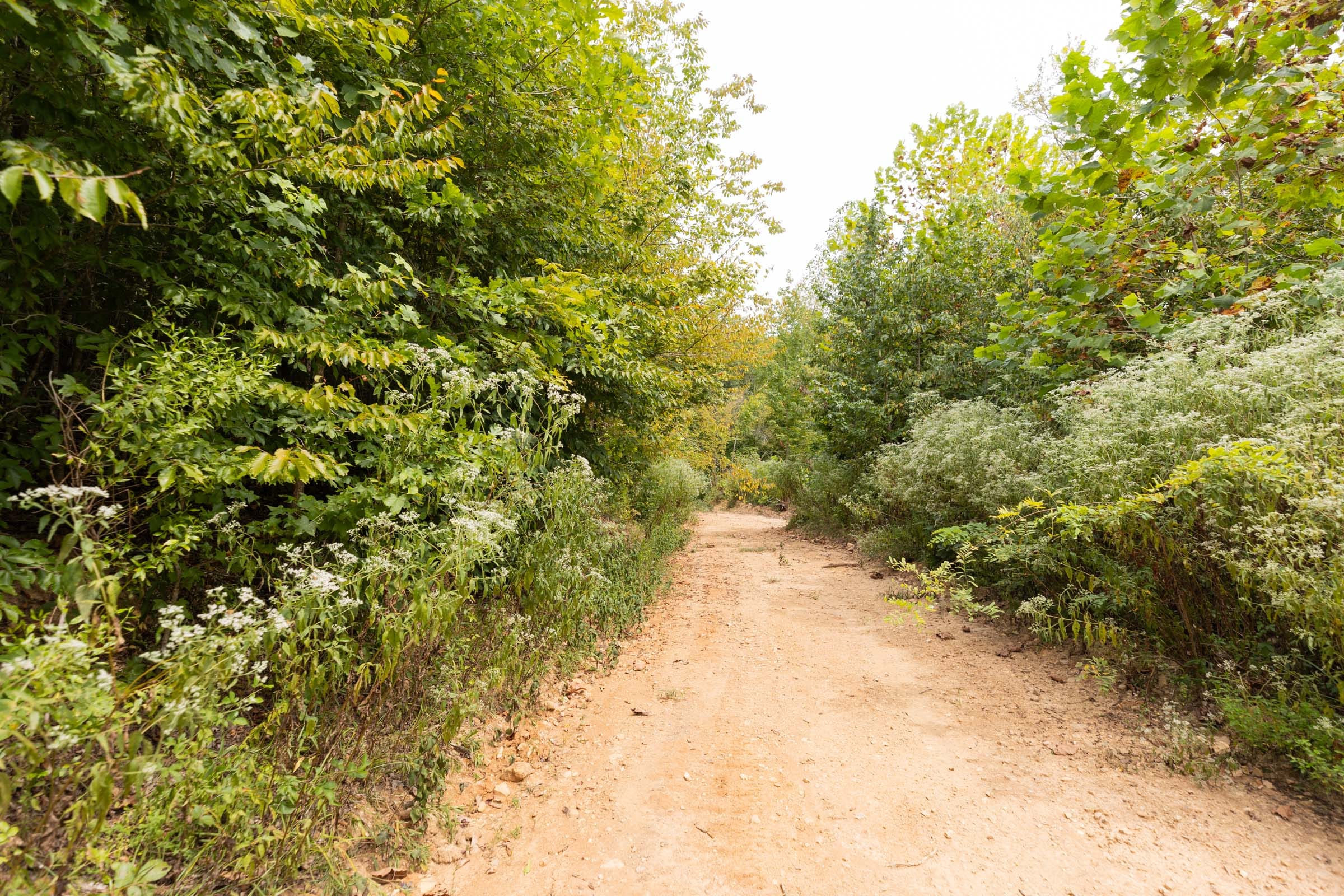 Big White Oak Tract 92 photo 11